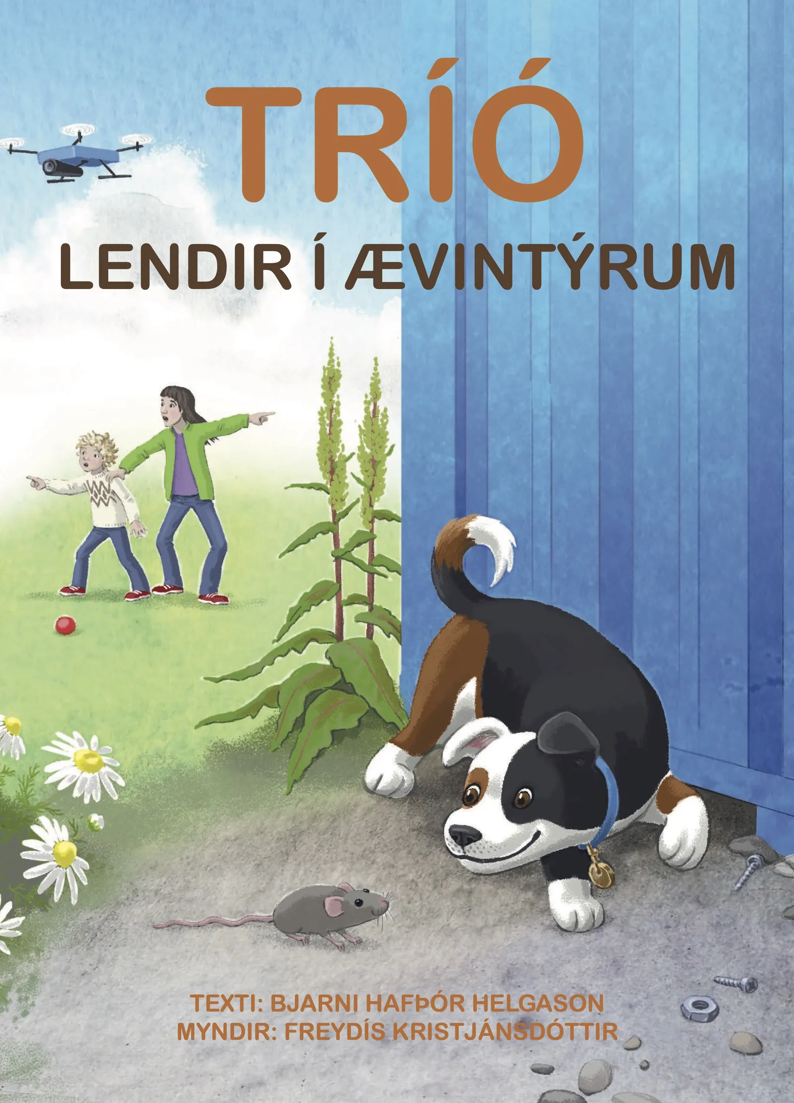 Forsíða kápu bókarinnar