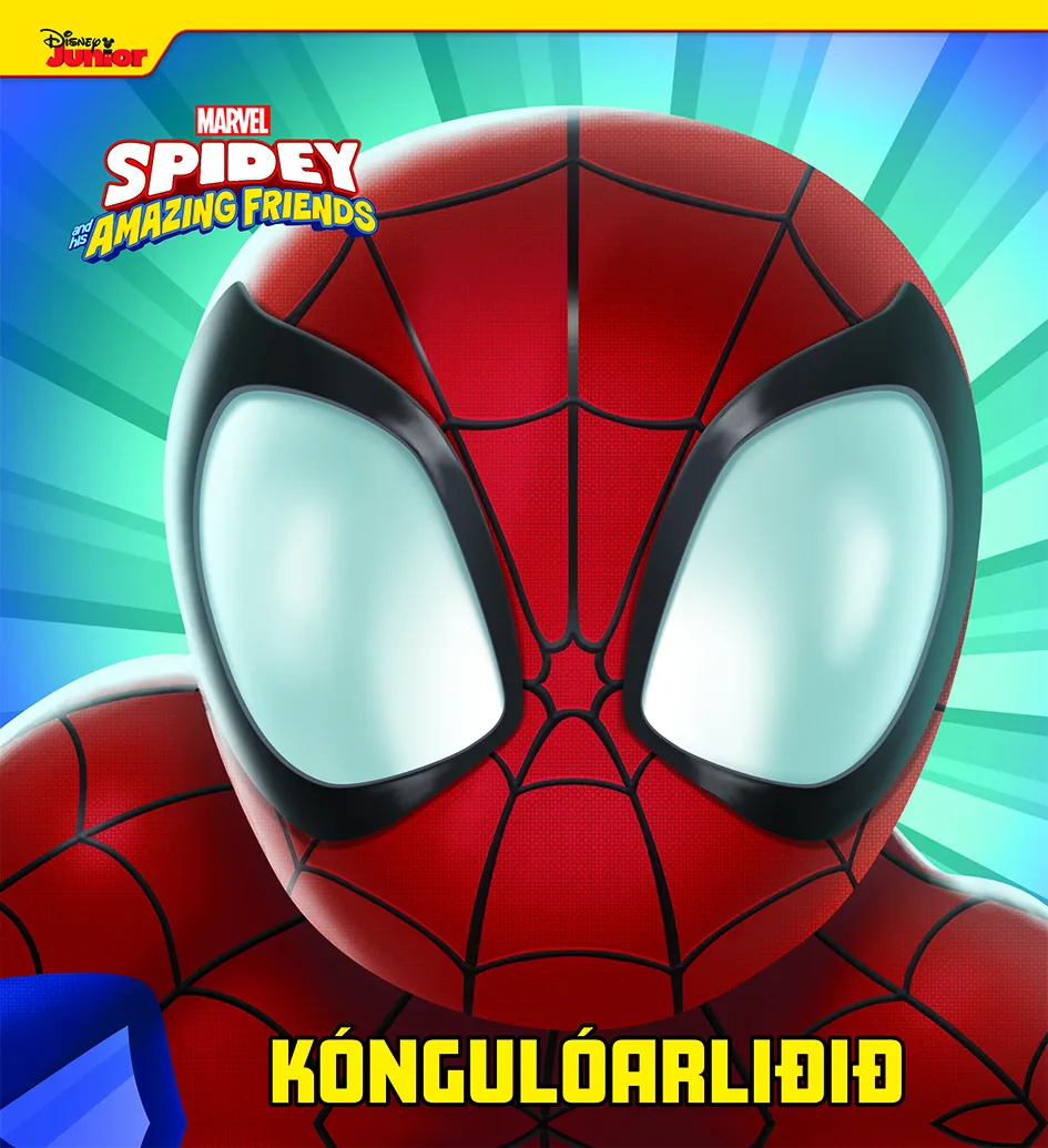 Forsíða kápu bókarinnar