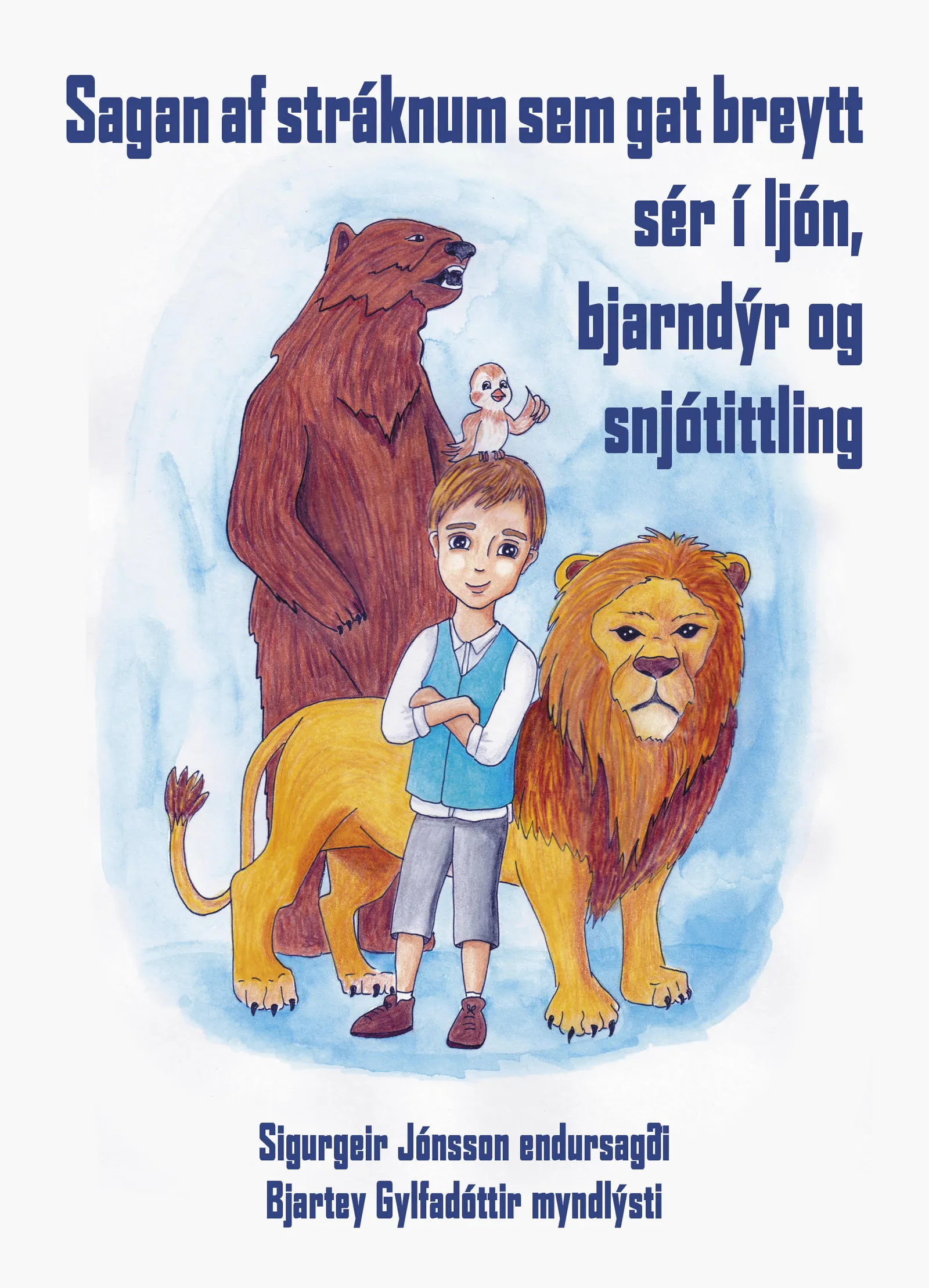 Forsíða kápu bókarinnar