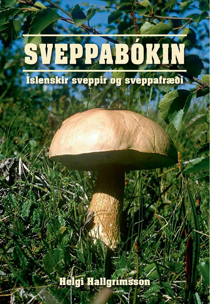 Forsíða kápu bókarinnar