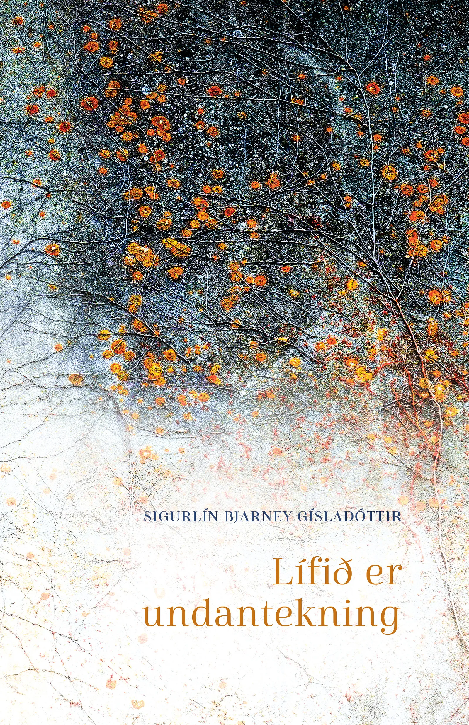 Bókakápa: Lífið er undantekning