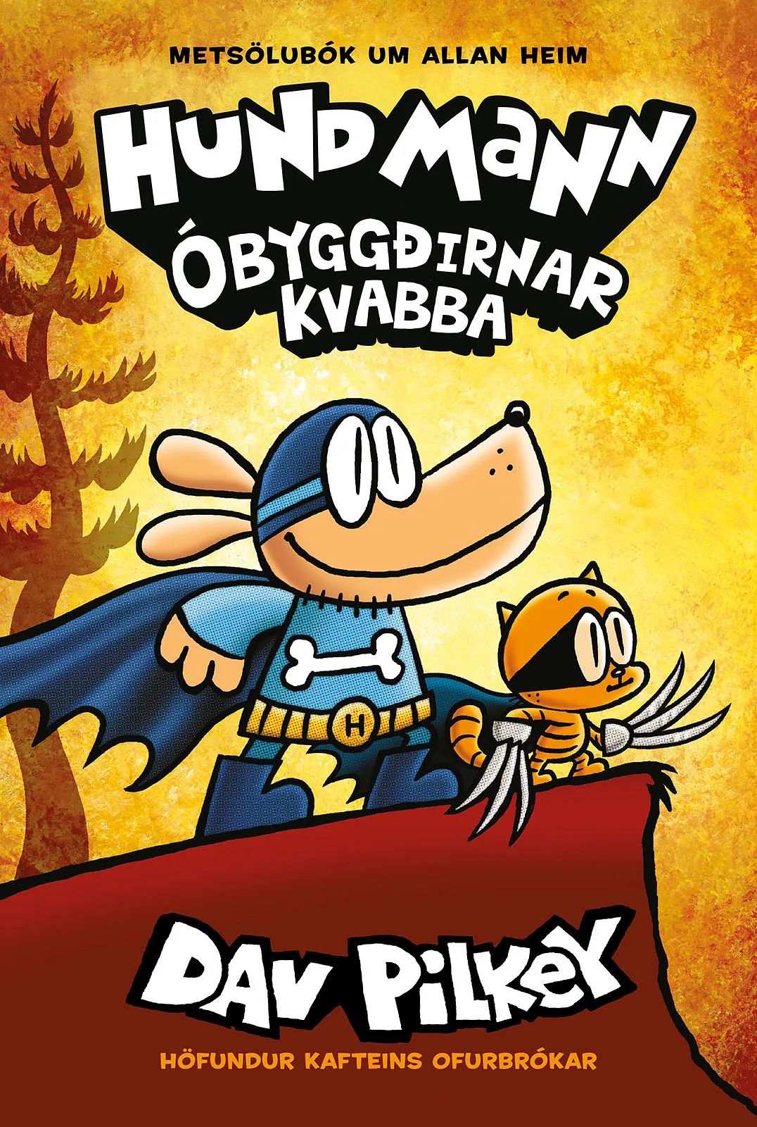 Forsíða kápu bókarinnar