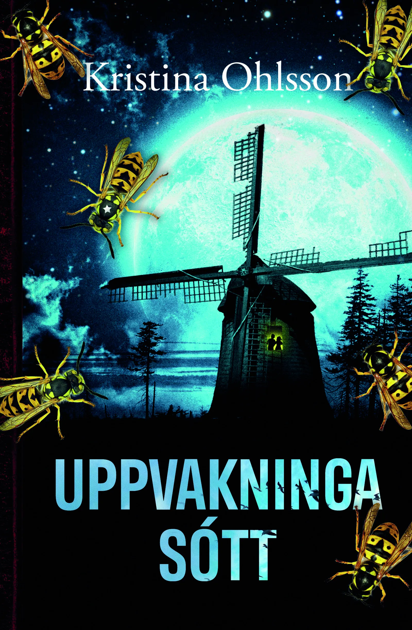 Forsíða kápu bókarinnar