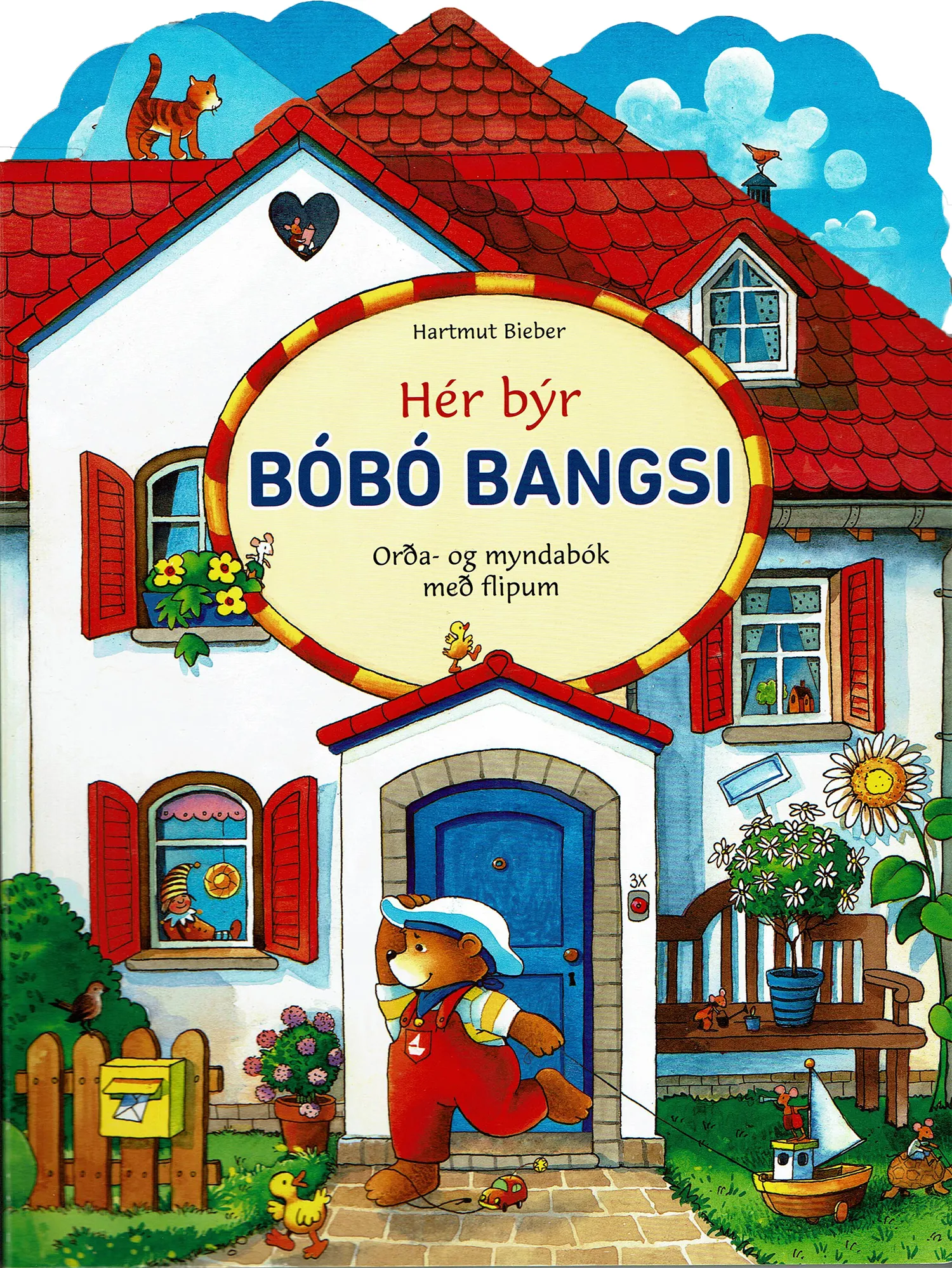 Forsíða kápu bókarinnar