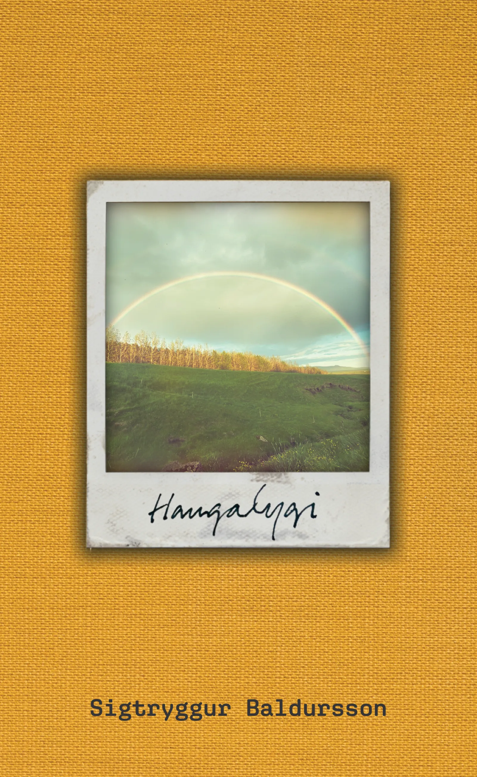 Forsíða kápu bókarinnar