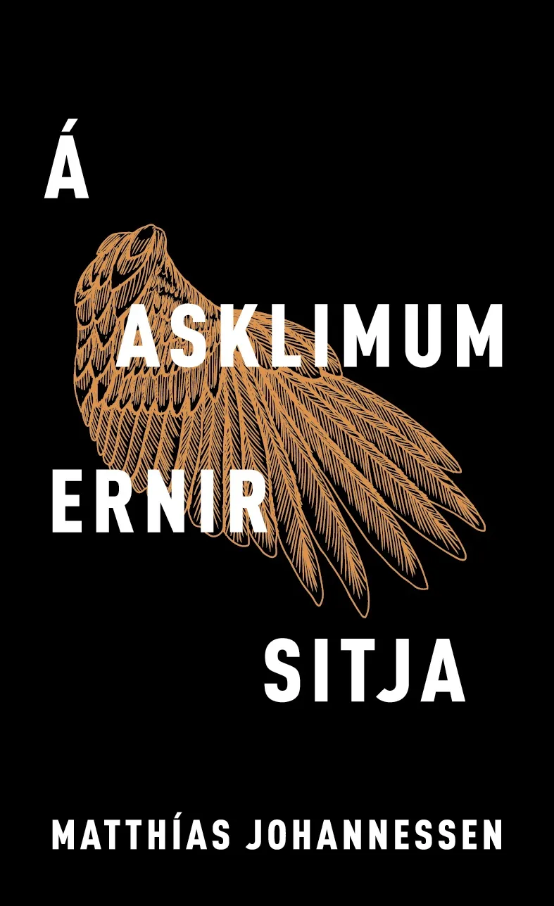 Forsíða kápu bókarinnar