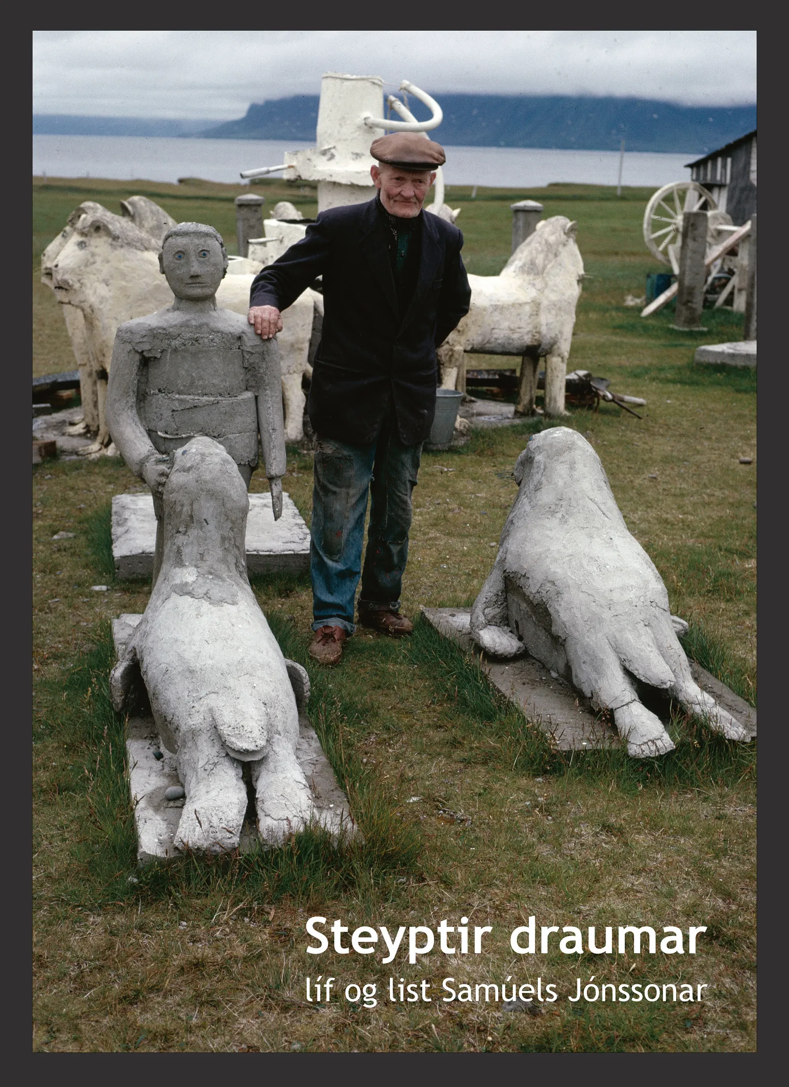 Forsíða kápu bókarinnar