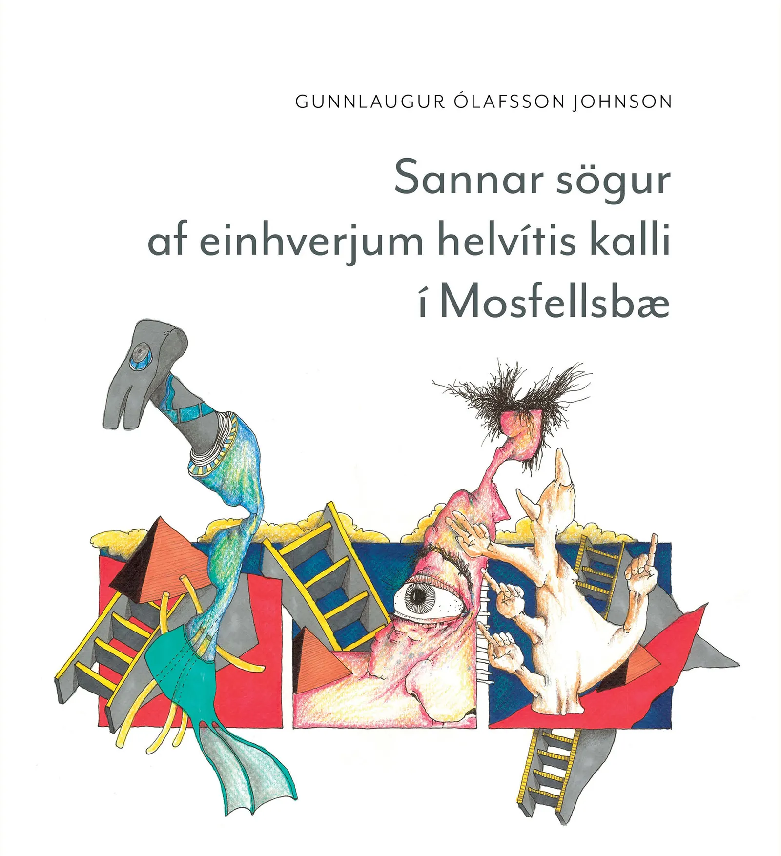 Forsíða kápu bókarinnar