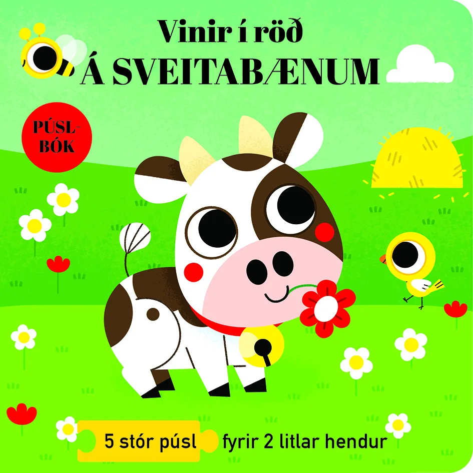 Forsíða kápu bókarinnar