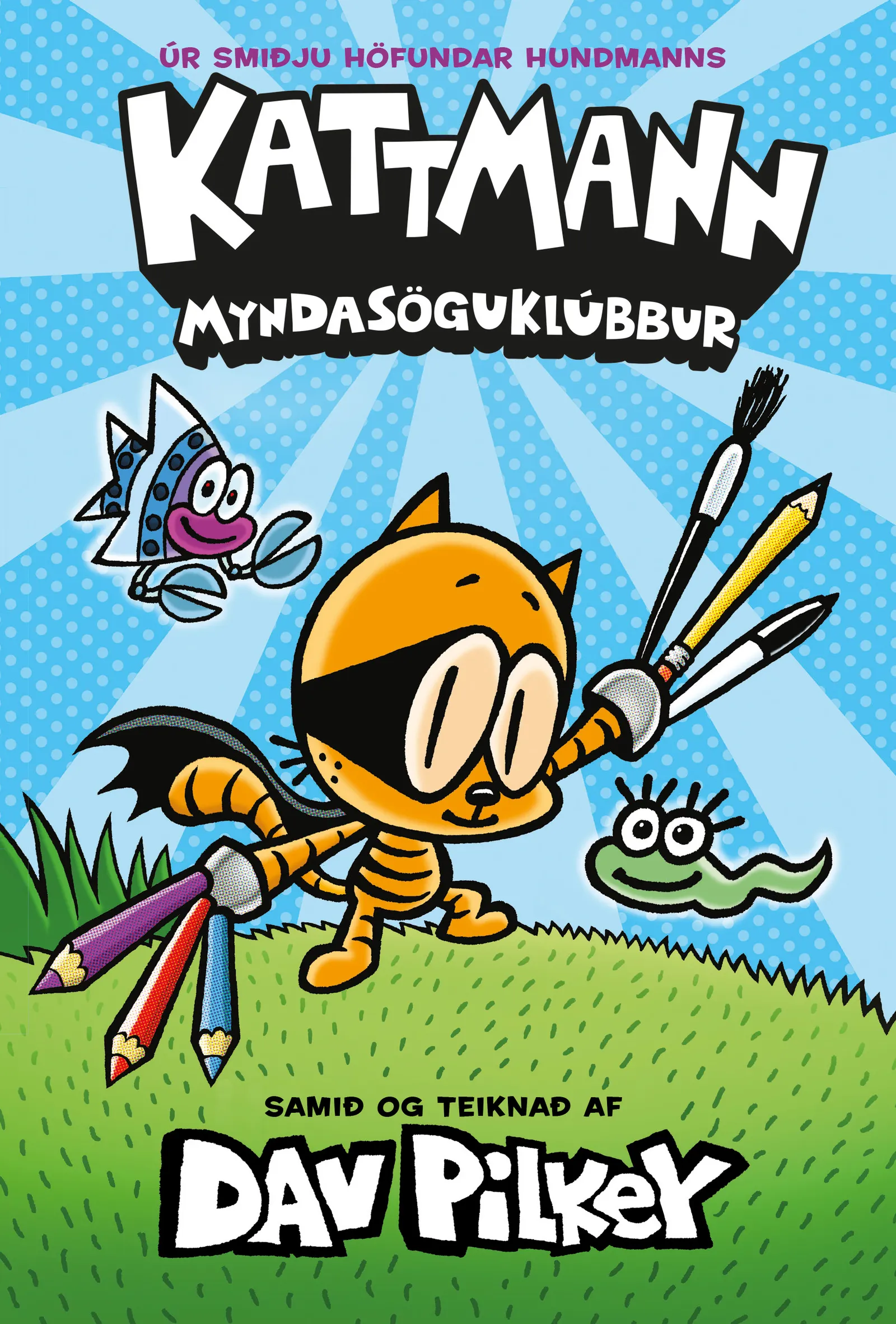 Forsíða kápu bókarinnar