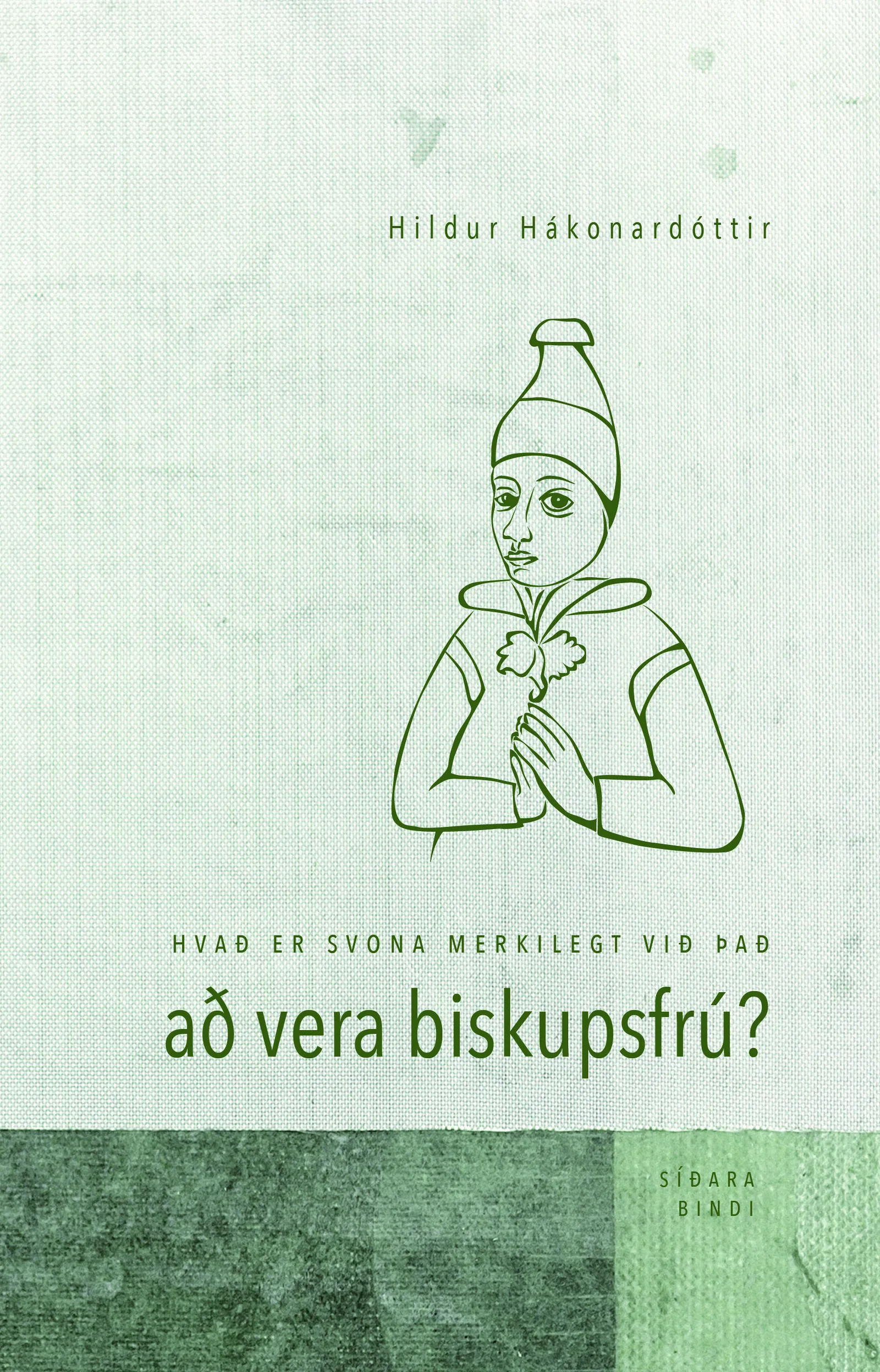 Forsíða kápu bókarinnar