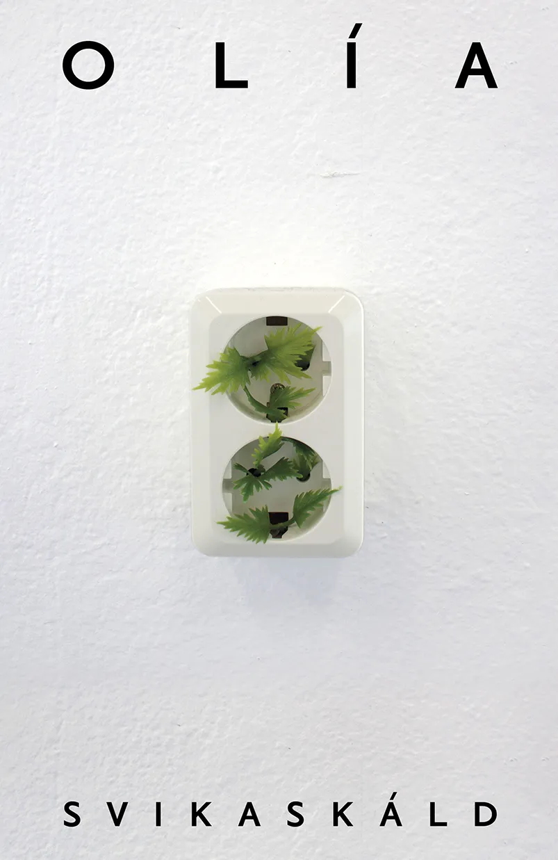 Forsíða kápu bókarinnar