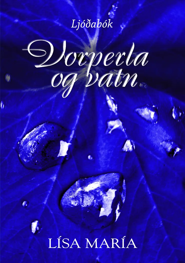 Forsíða kápu bókarinnar