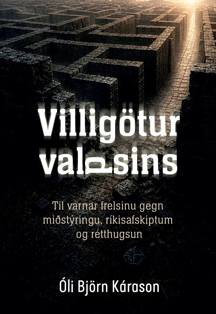Bókakápa: Villigötur valdsins