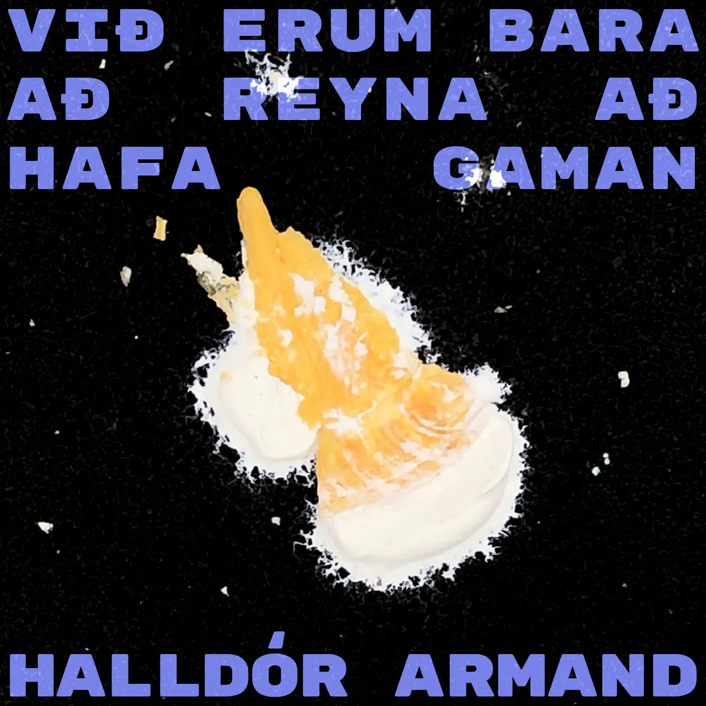 Forsíða kápu bókarinnar