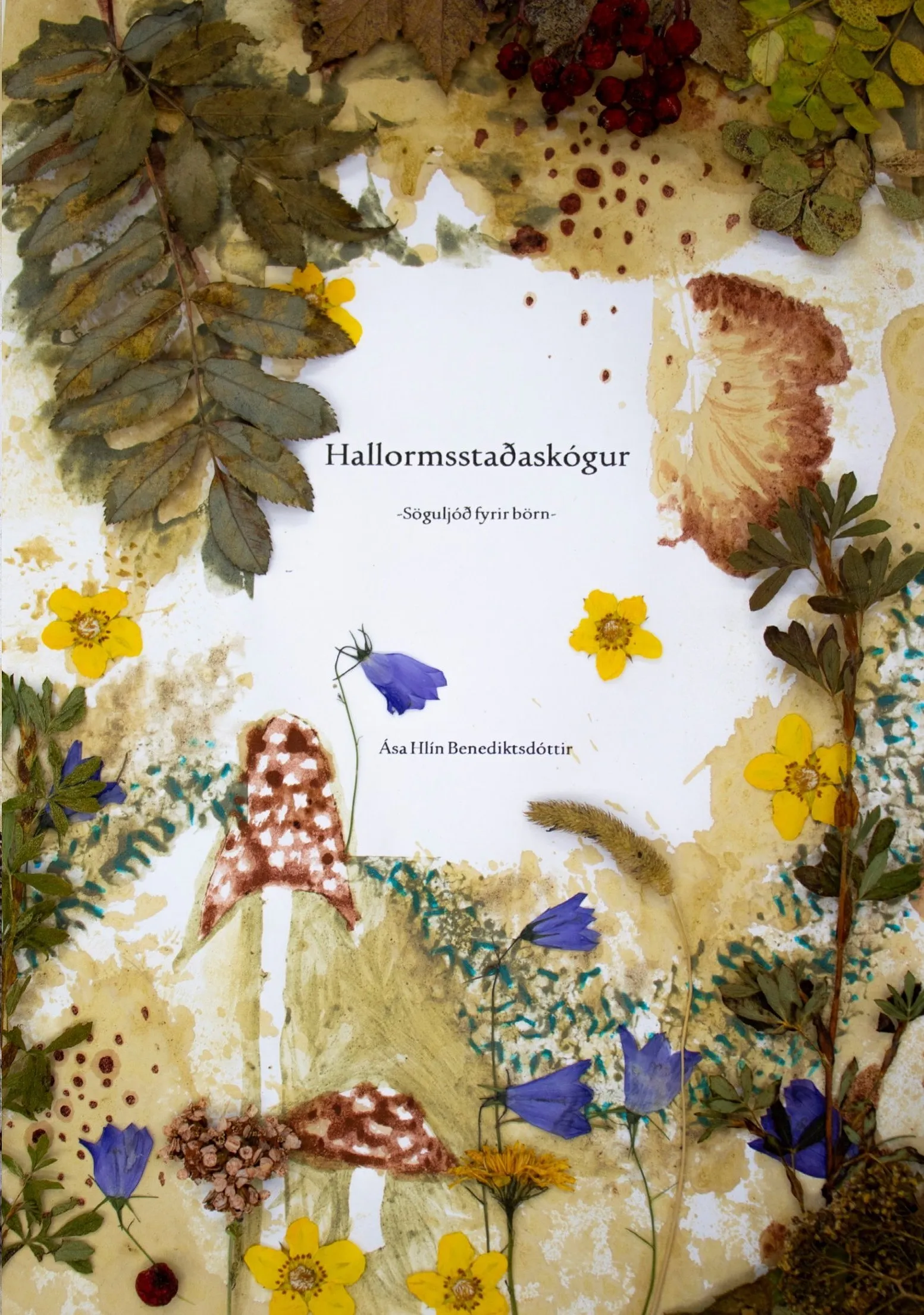 Forsíða kápu bókarinnar