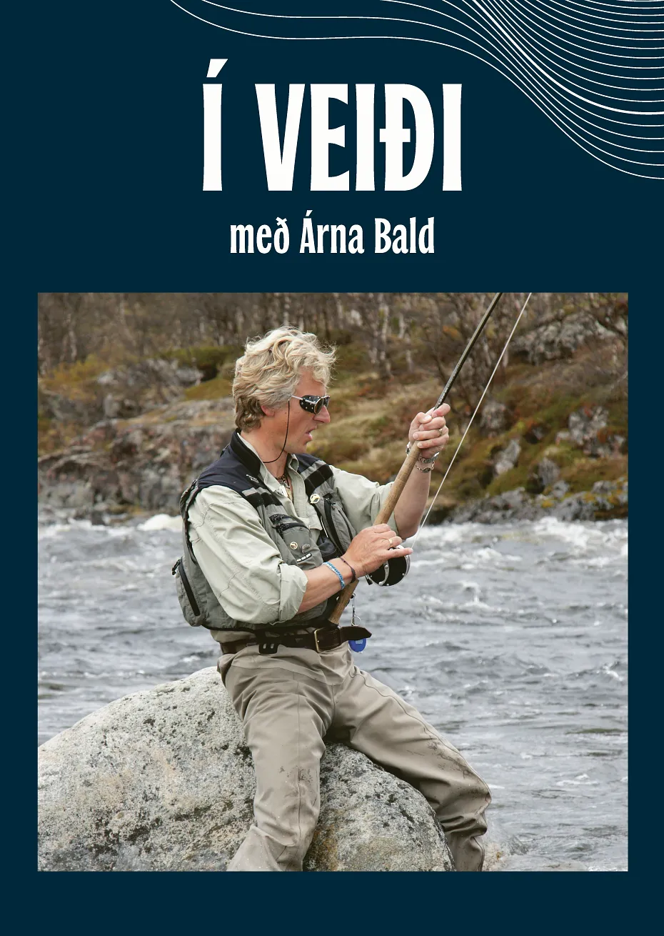 Forsíða kápu bókarinnar