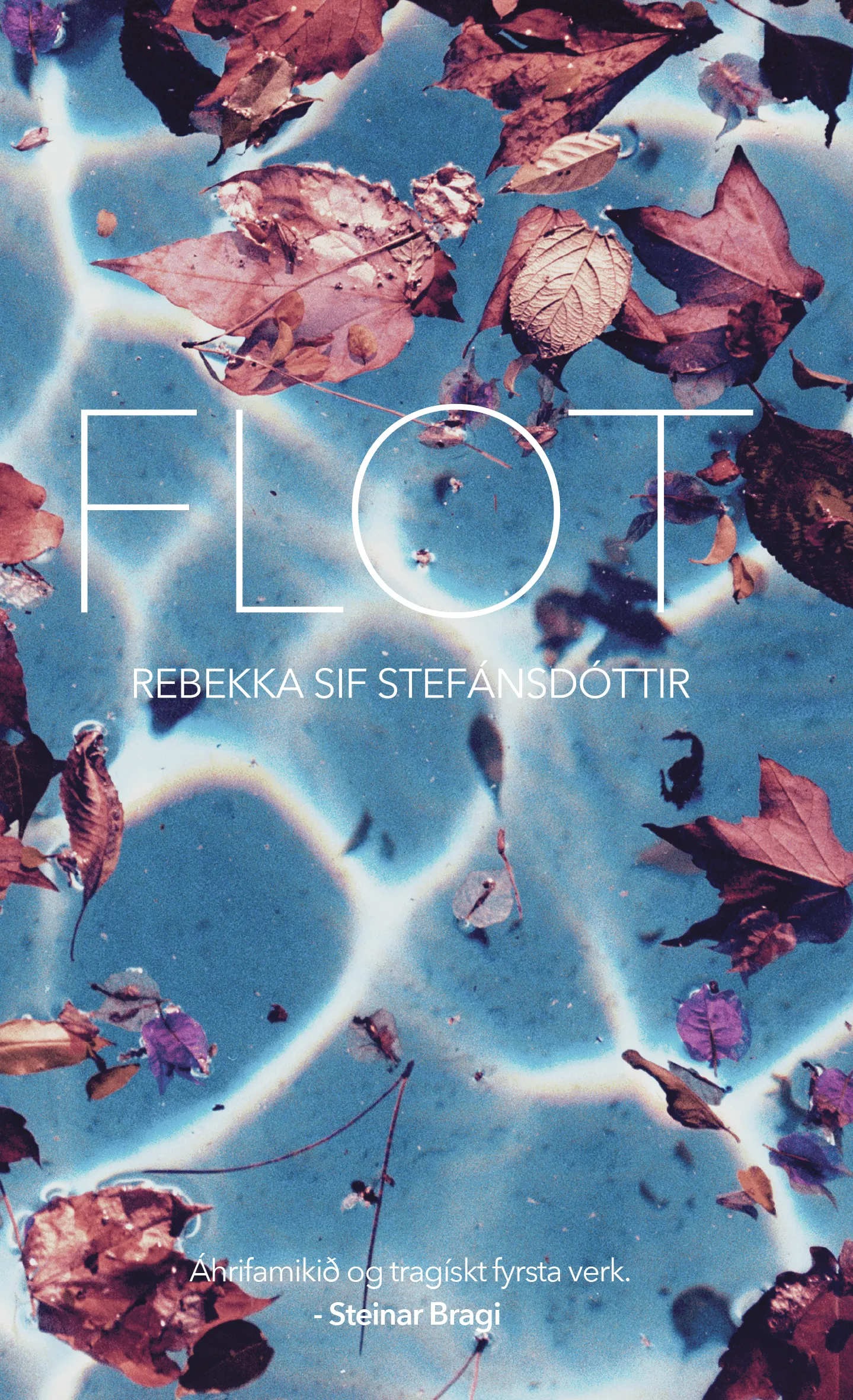 Forsíða kápu bókarinnar