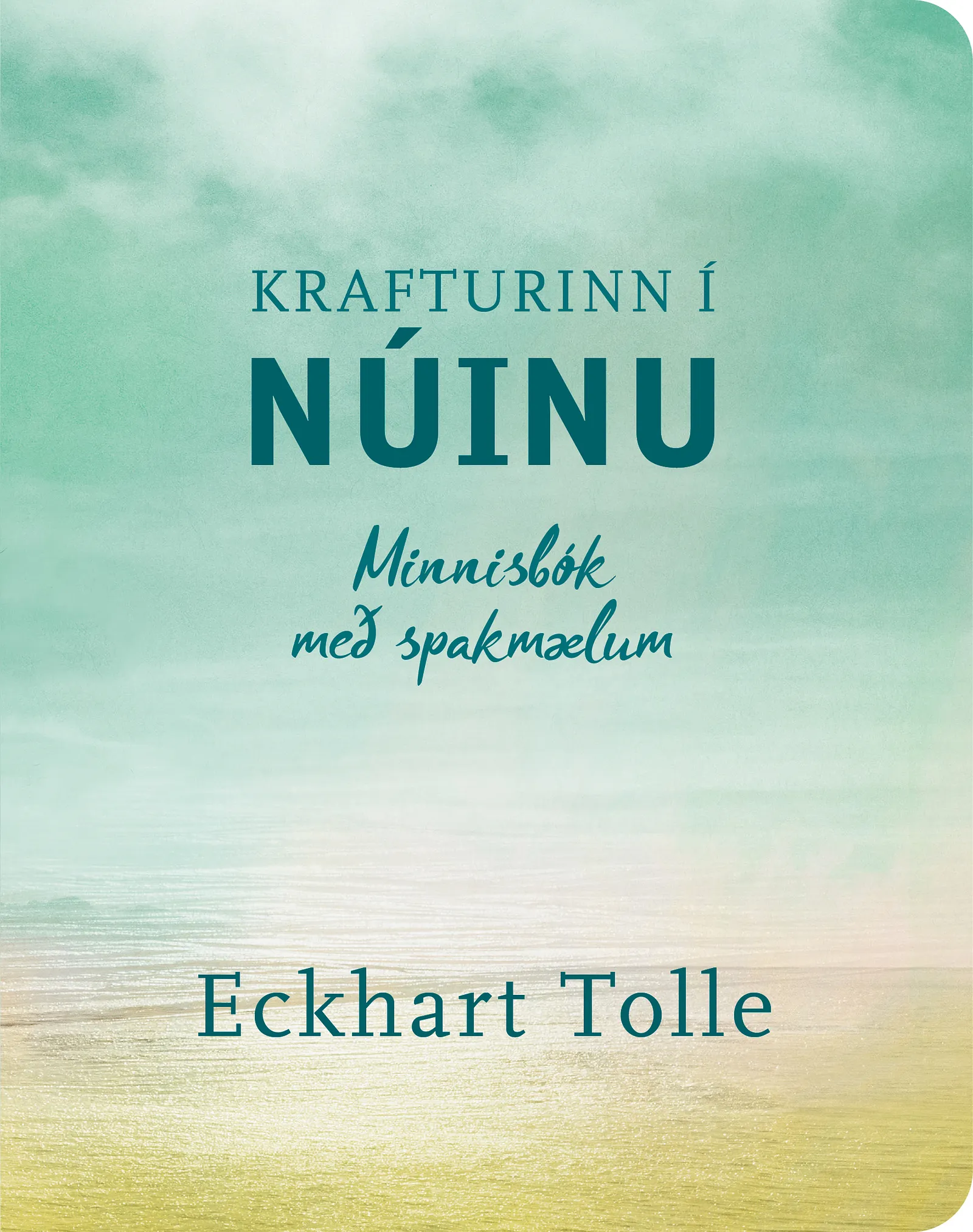 Forsíða kápu bókarinnar