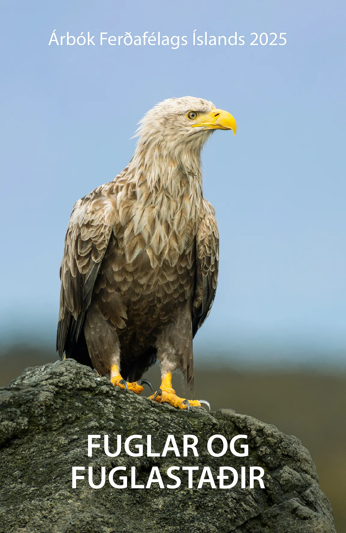 Bókakápa: Árbók Ferðafélags Íslands Fuglar og fuglastaðir