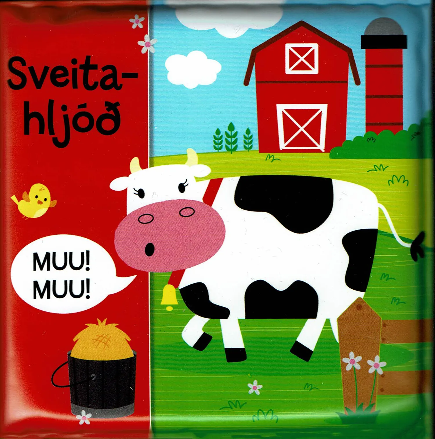 Forsíða kápu bókarinnar