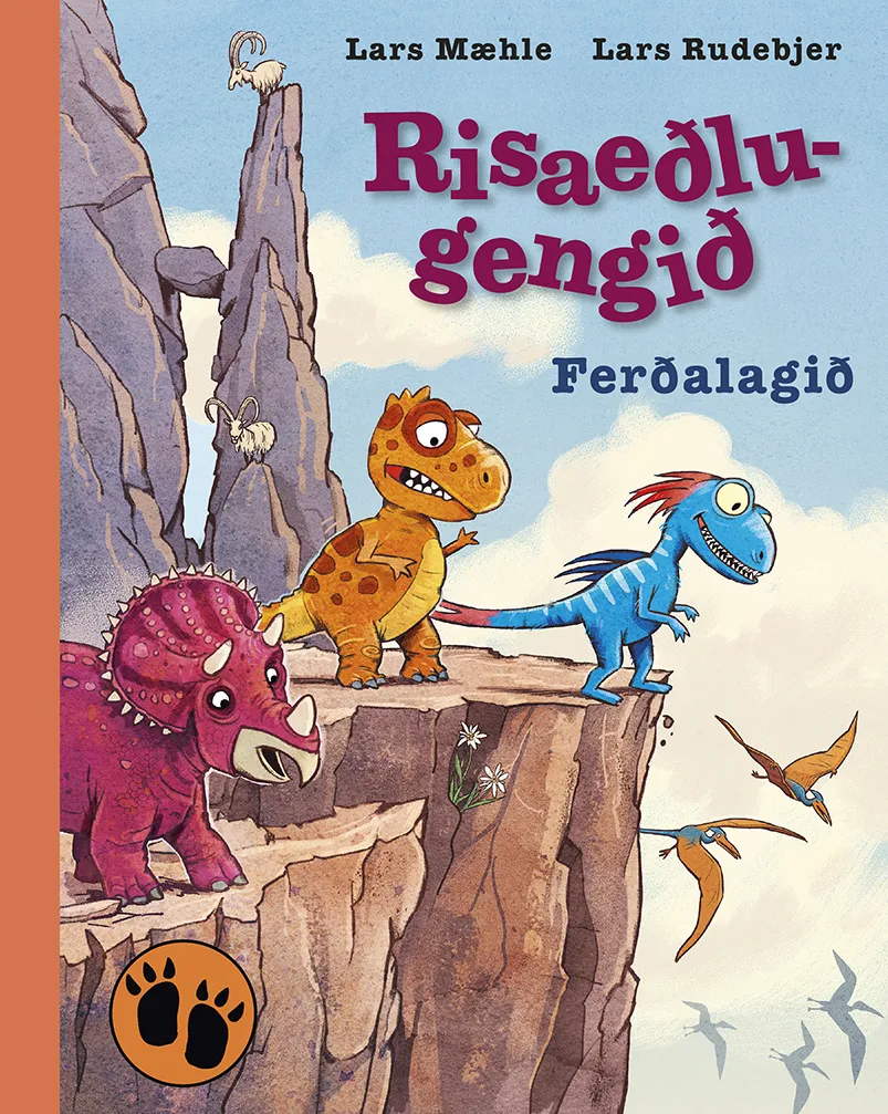 Forsíða kápu bókarinnar