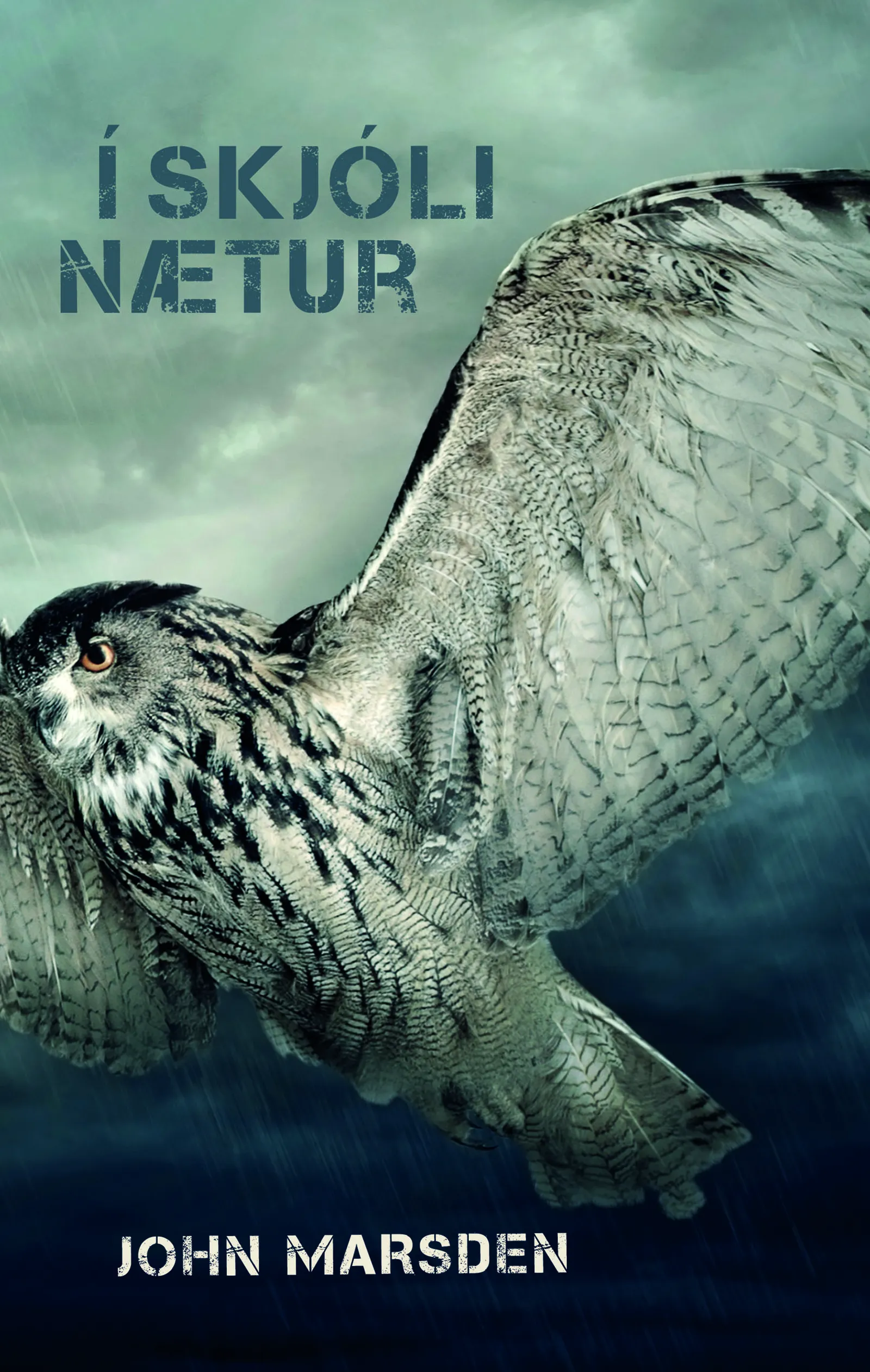 Forsíða kápu bókarinnar