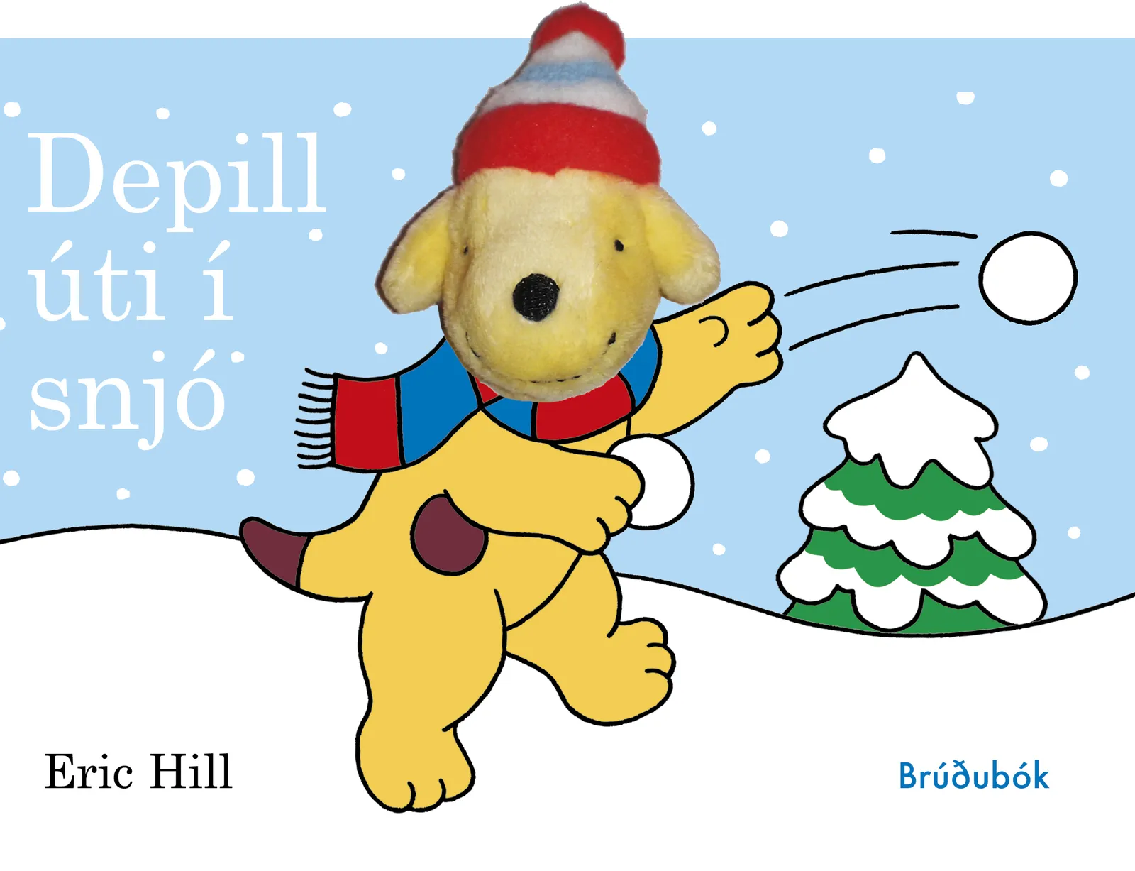 Forsíða kápu bókarinnar