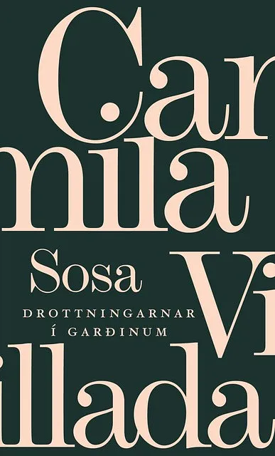 Forsíða kápu bókarinnar