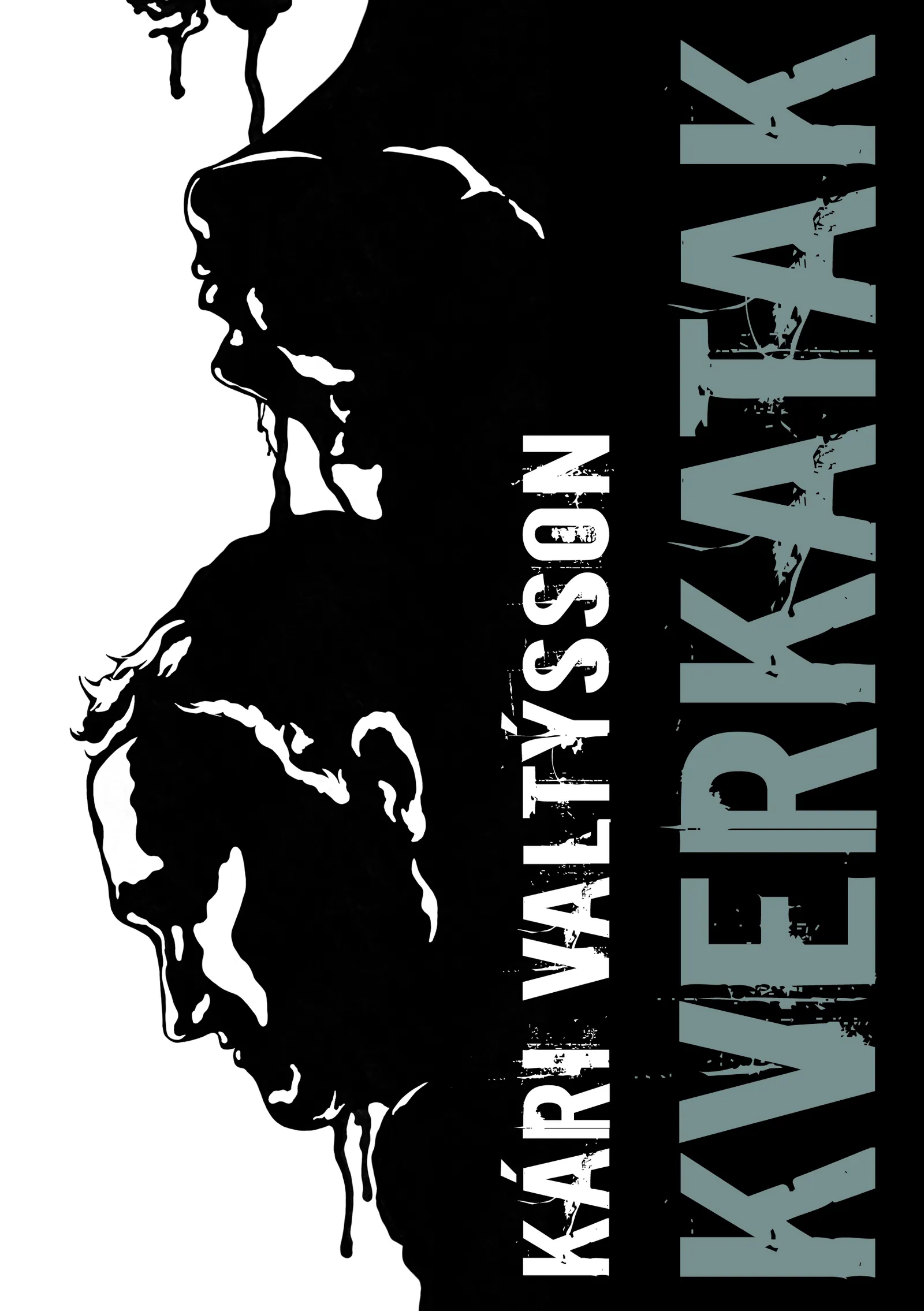 Forsíða kápu bókarinnar