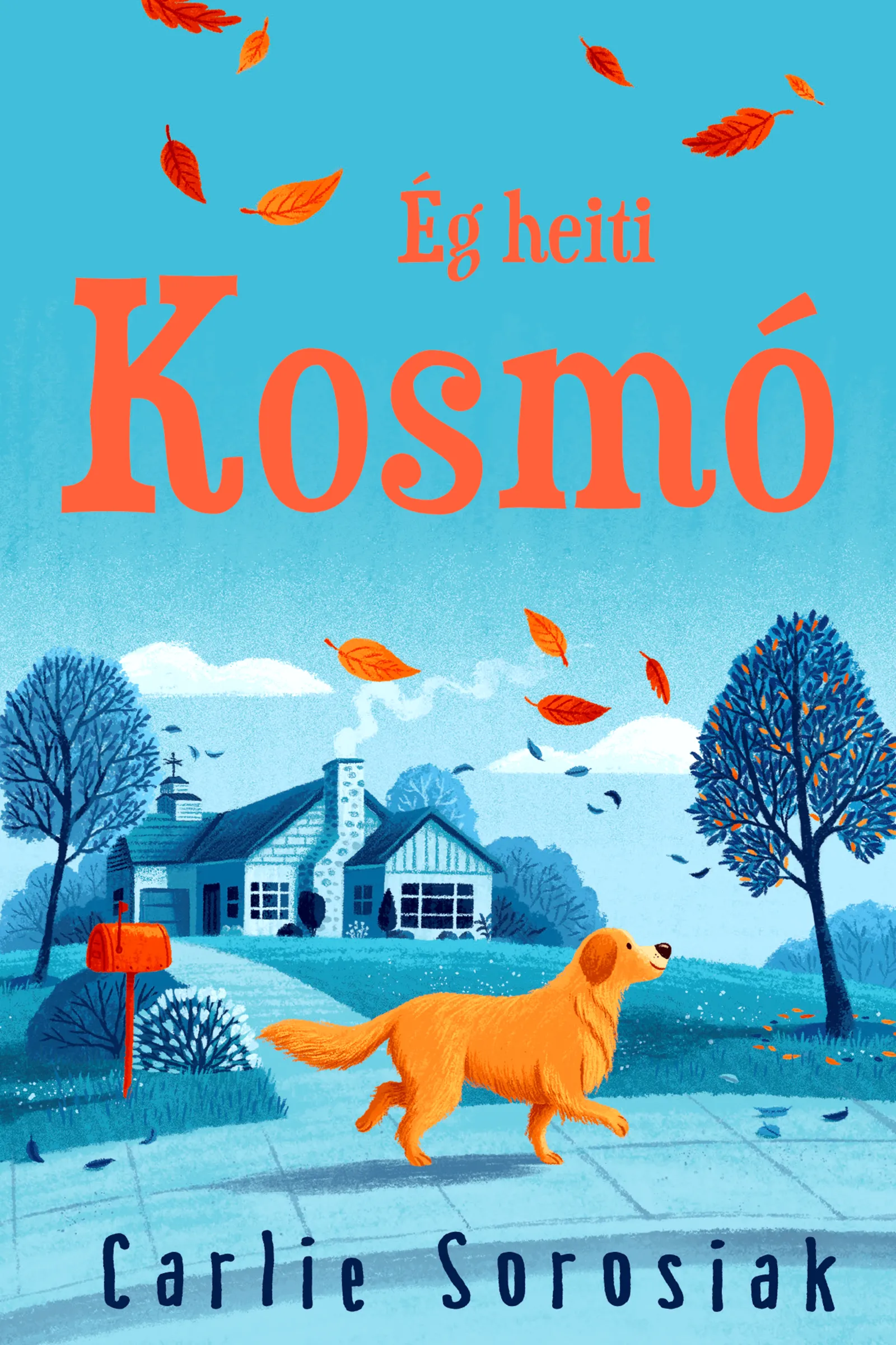 Forsíða kápu bókarinnar