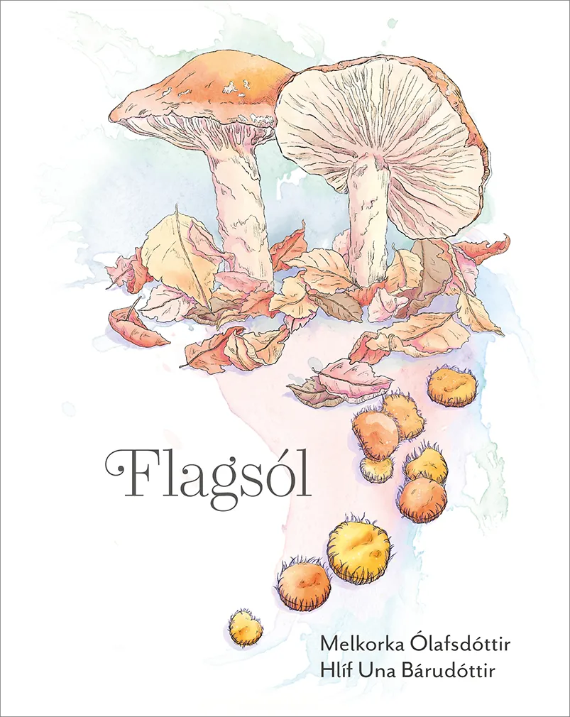 Forsíða kápu bókarinnar