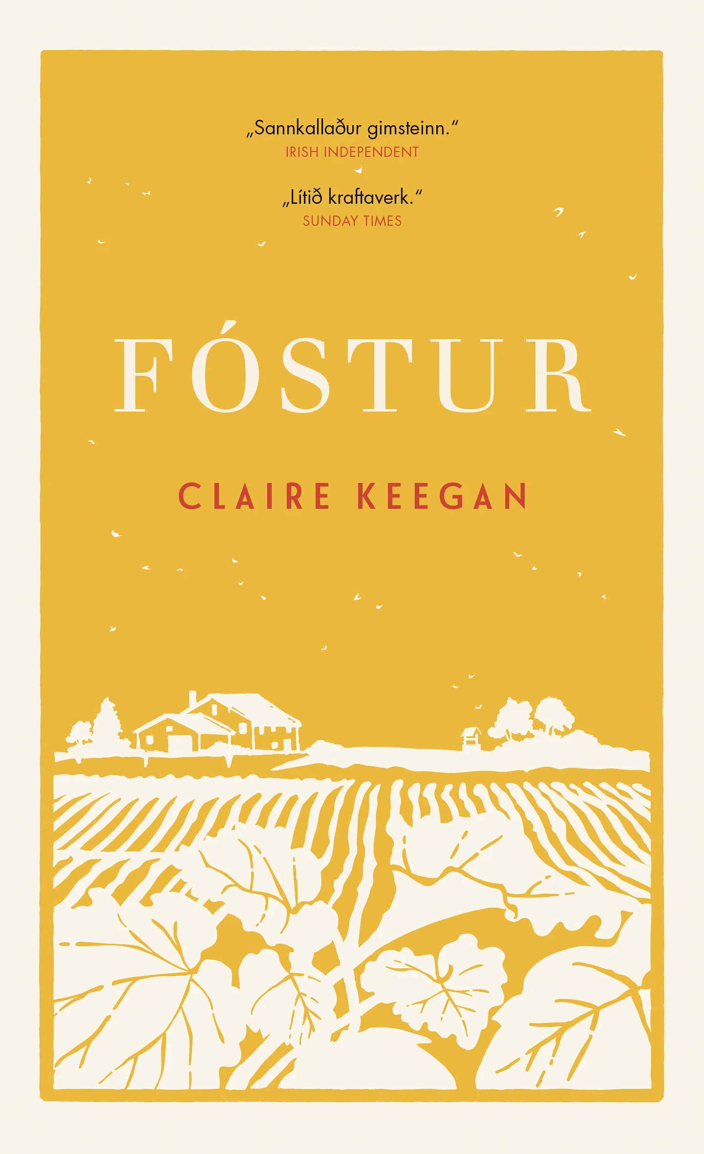 Forsíða kápu bókarinnar