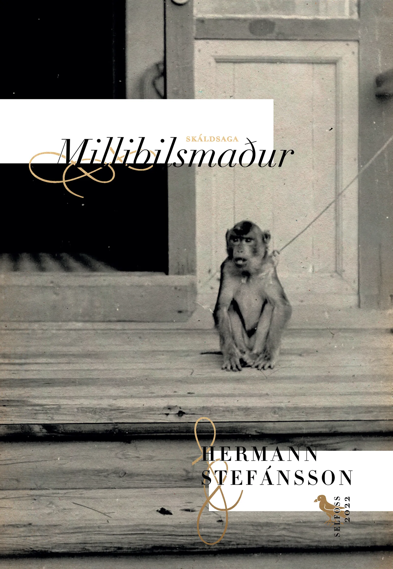 Forsíða kápu bókarinnar