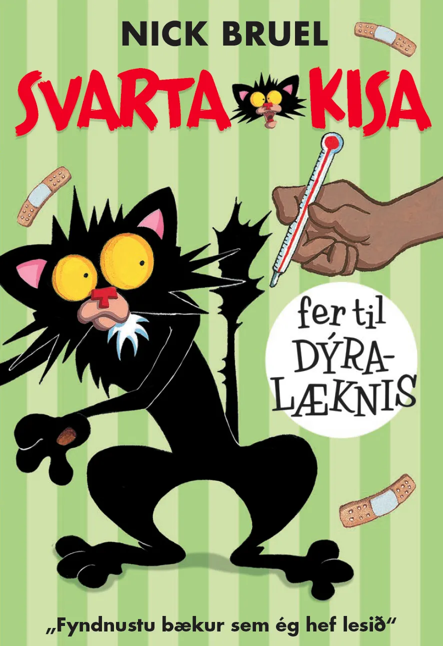 Forsíða kápu bókarinnar