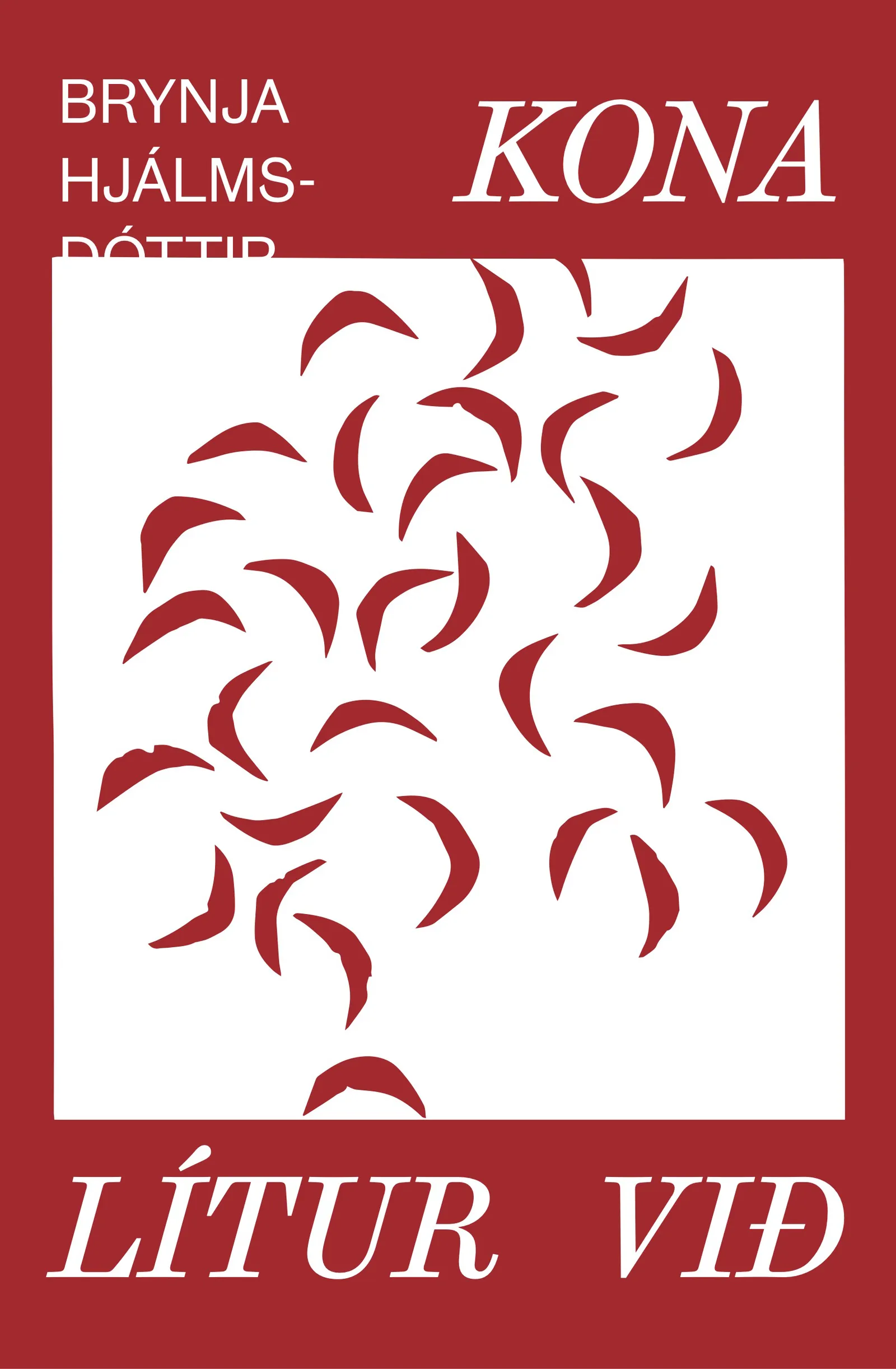 Forsíða kápu bókarinnar