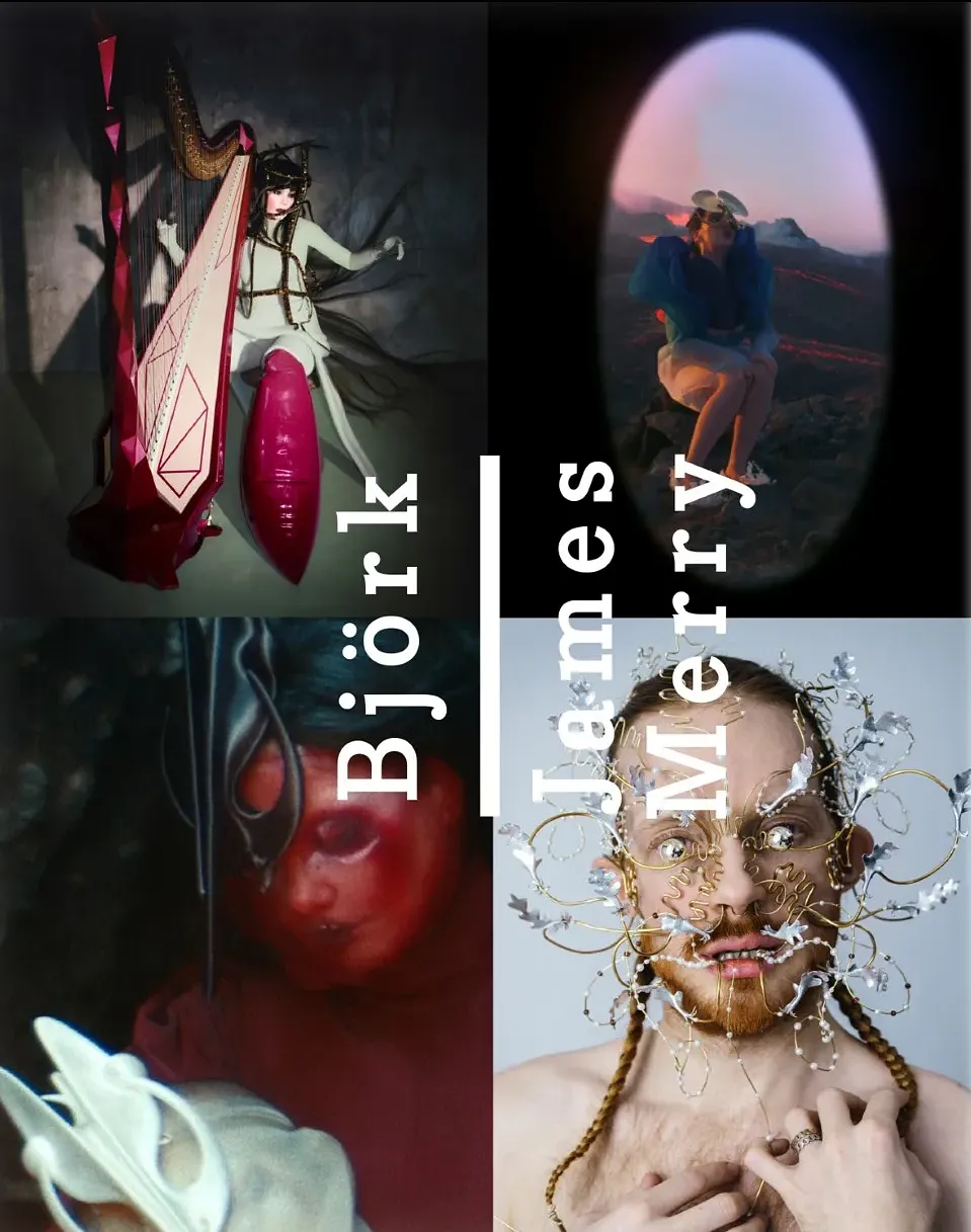 Bókakápa: Björk I James Merry