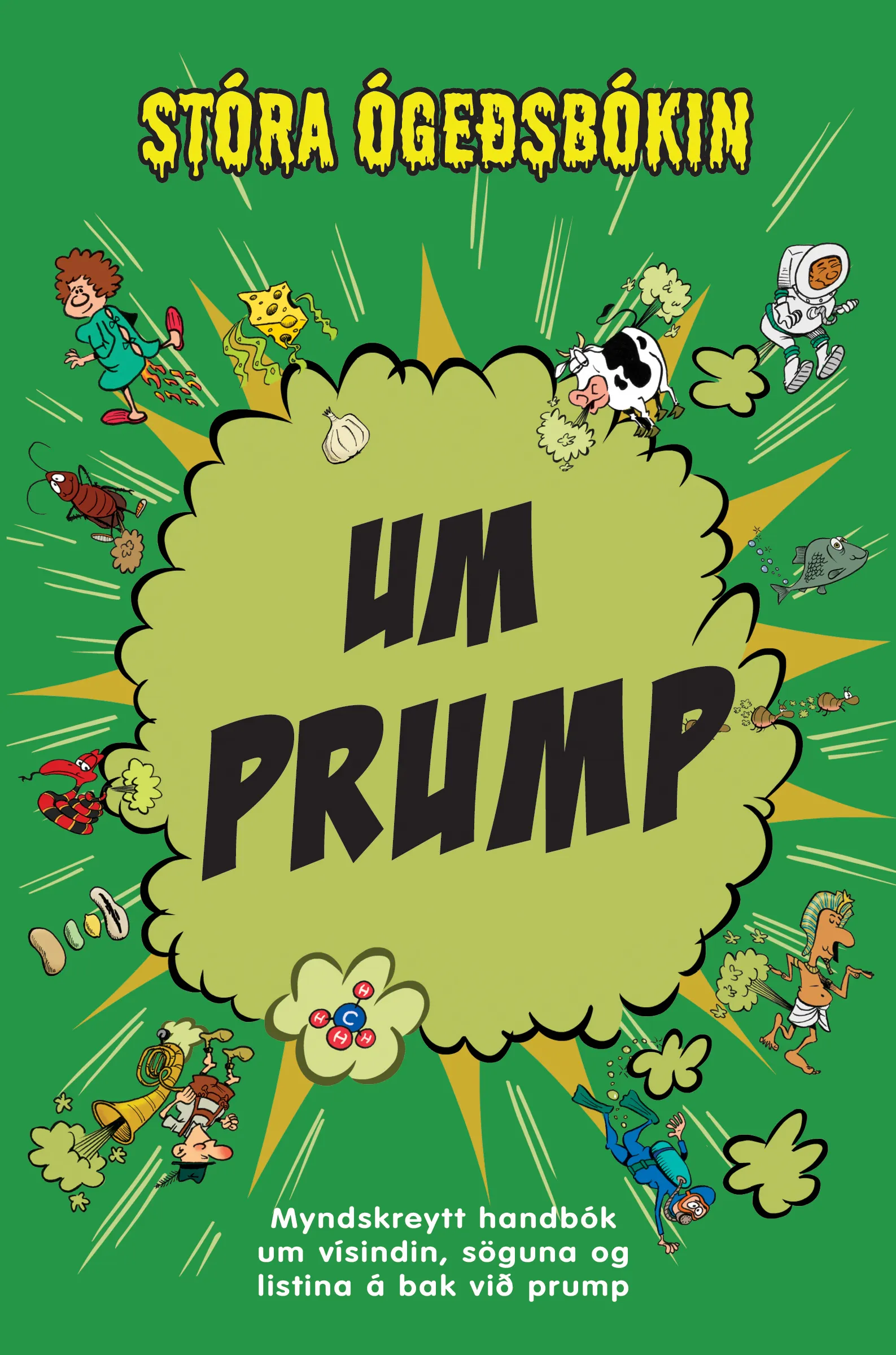 Forsíða kápu bókarinnar