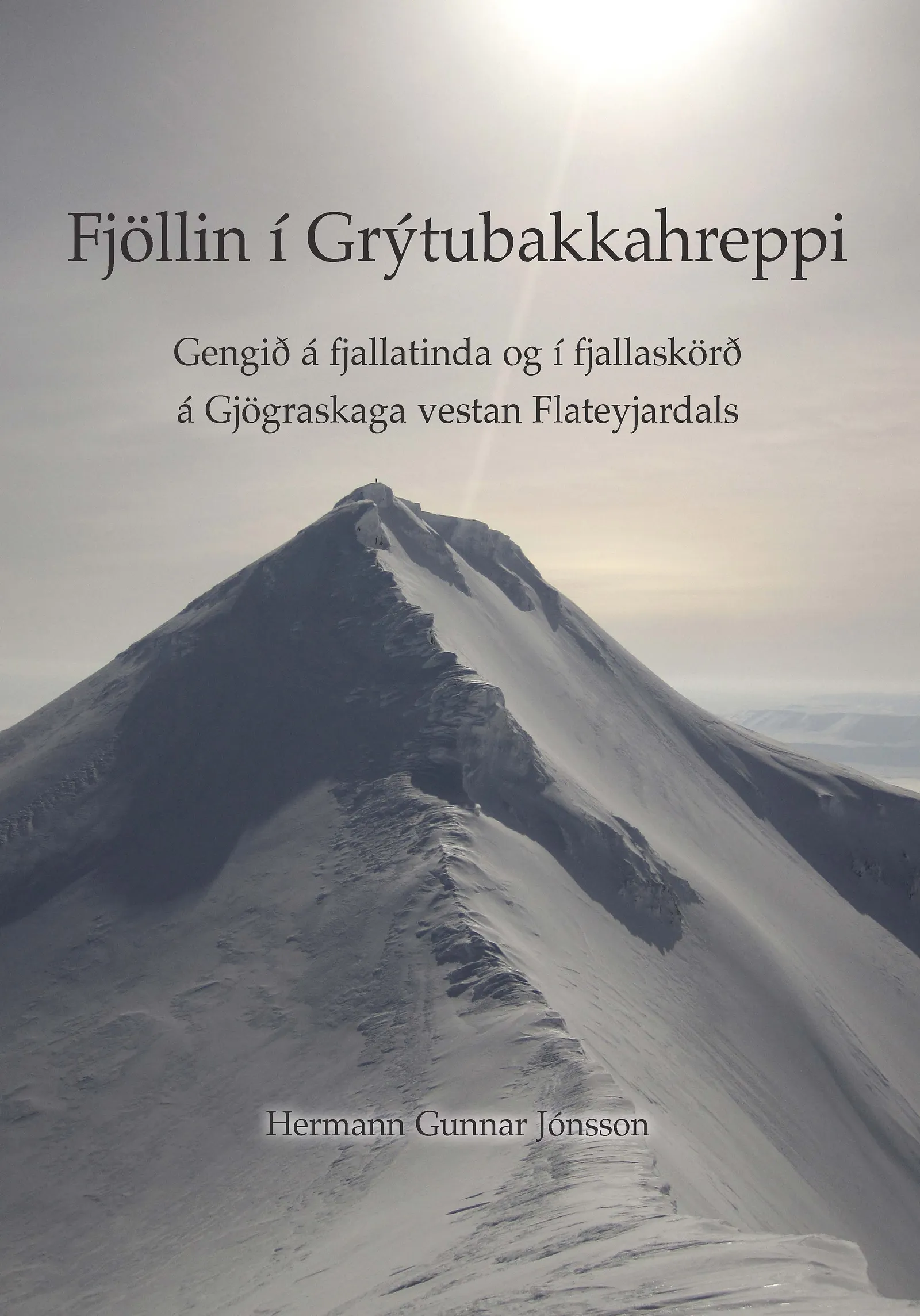 Forsíða kápu bókarinnar