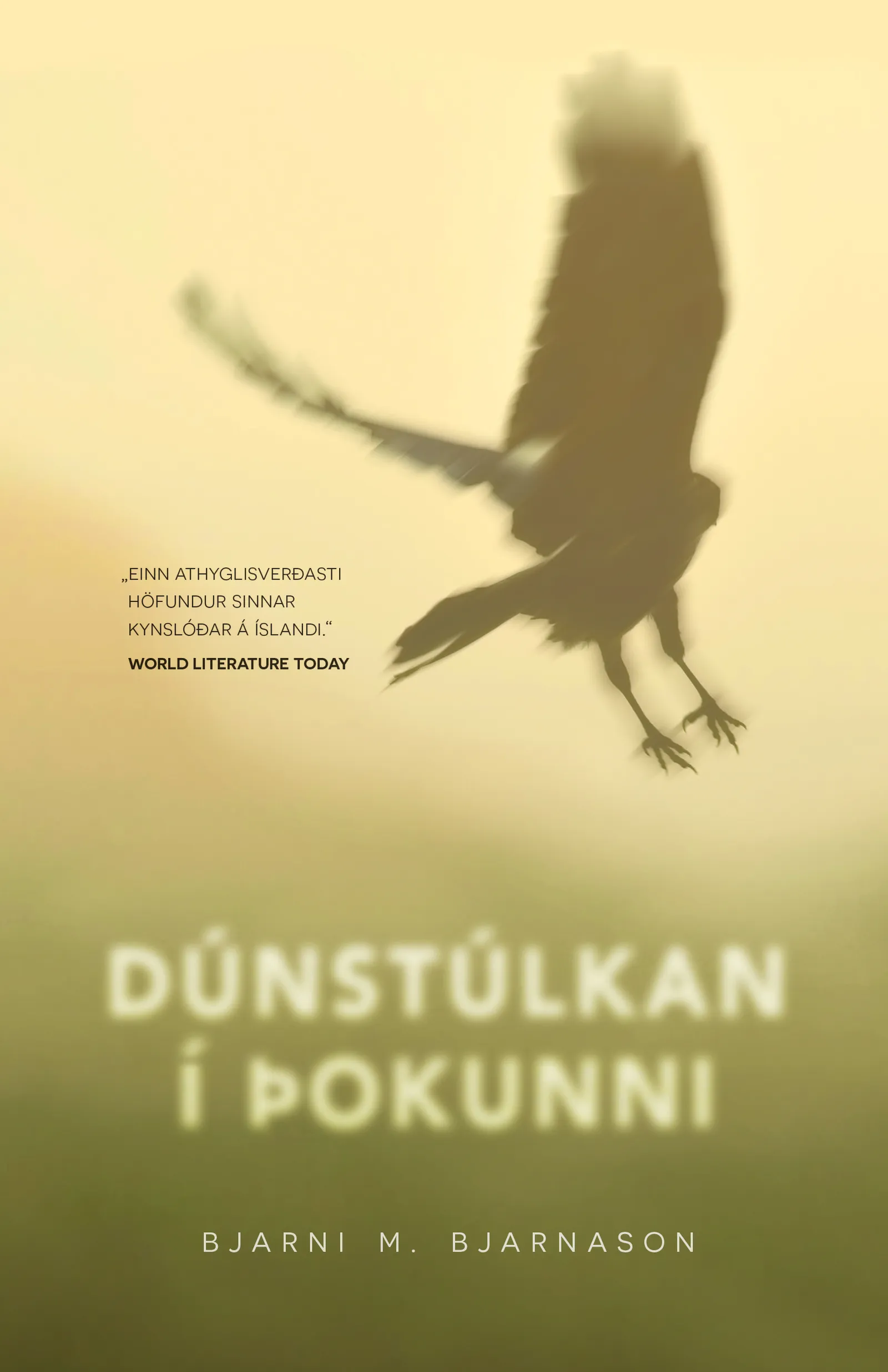 Forsíða kápu bókarinnar