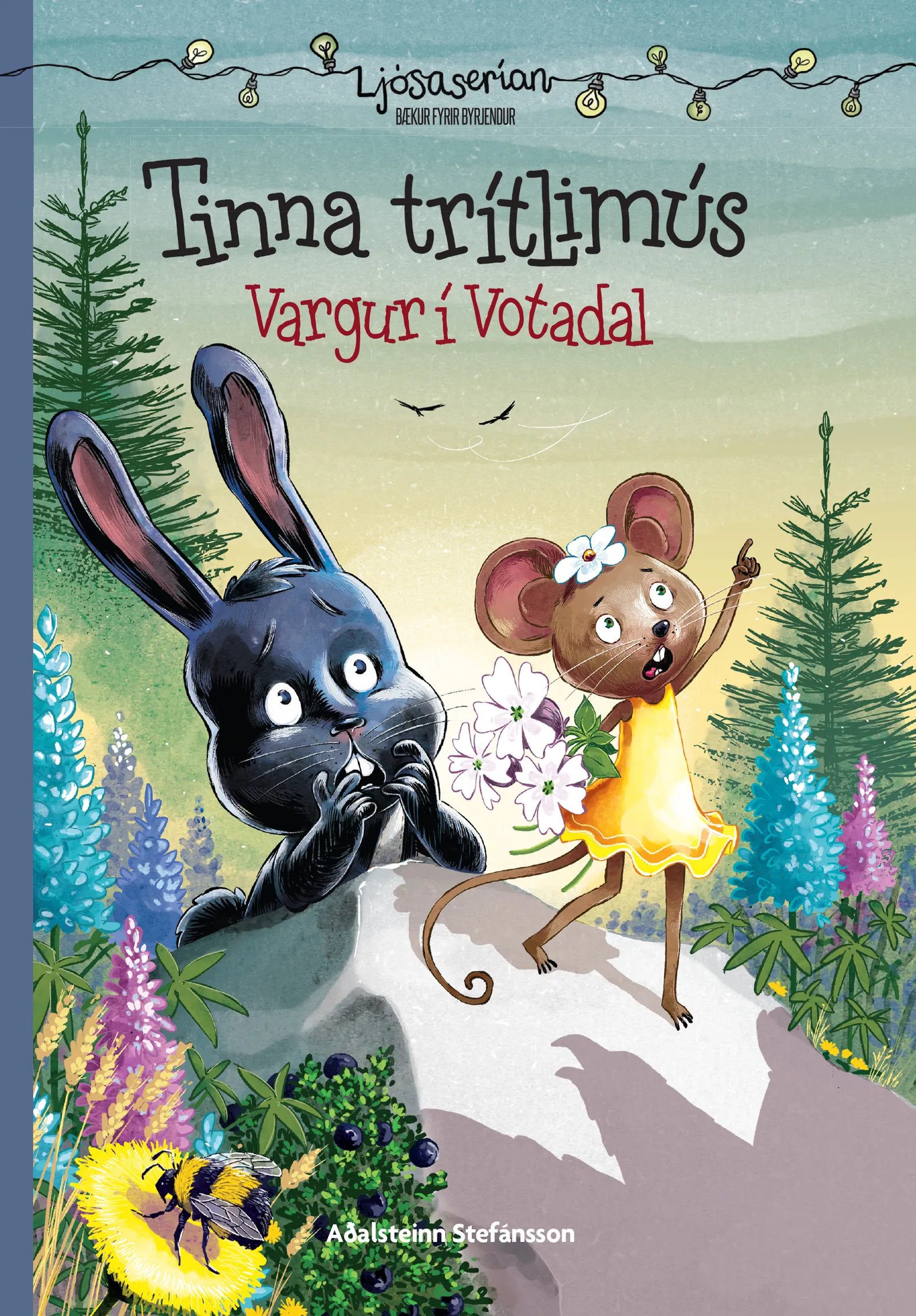 Forsíða kápu bókarinnar