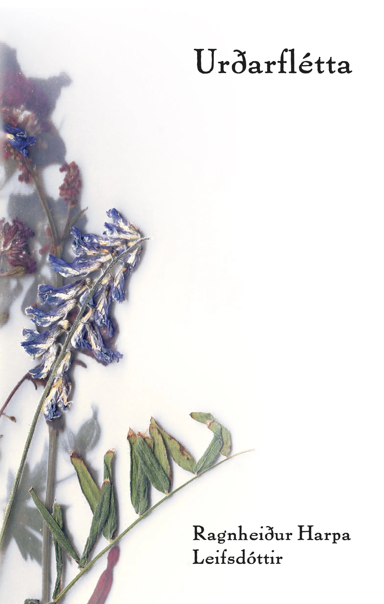 Forsíða kápu bókarinnar