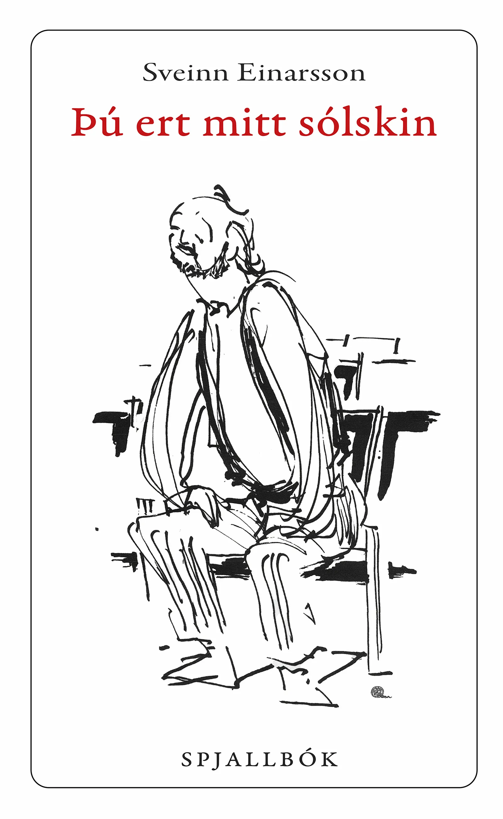 Forsíða kápu bókarinnar