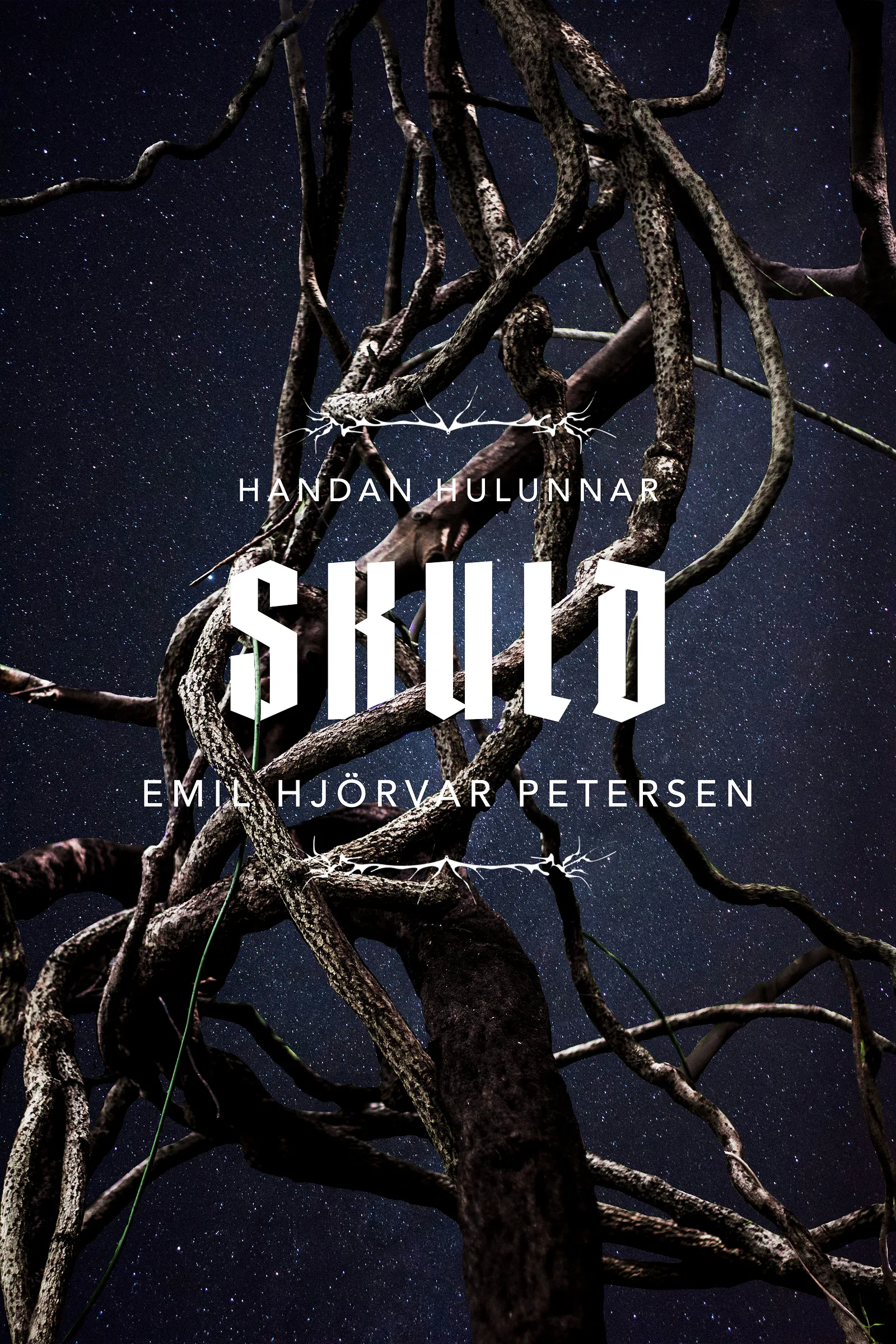 Forsíða kápu bókarinnar