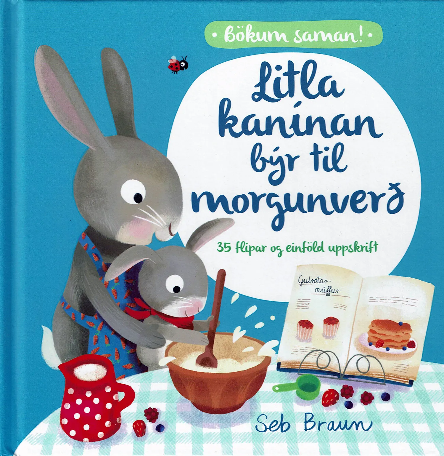 Forsíða kápu bókarinnar