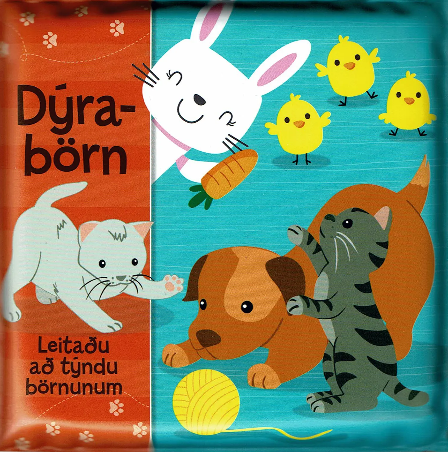 Forsíða kápu bókarinnar