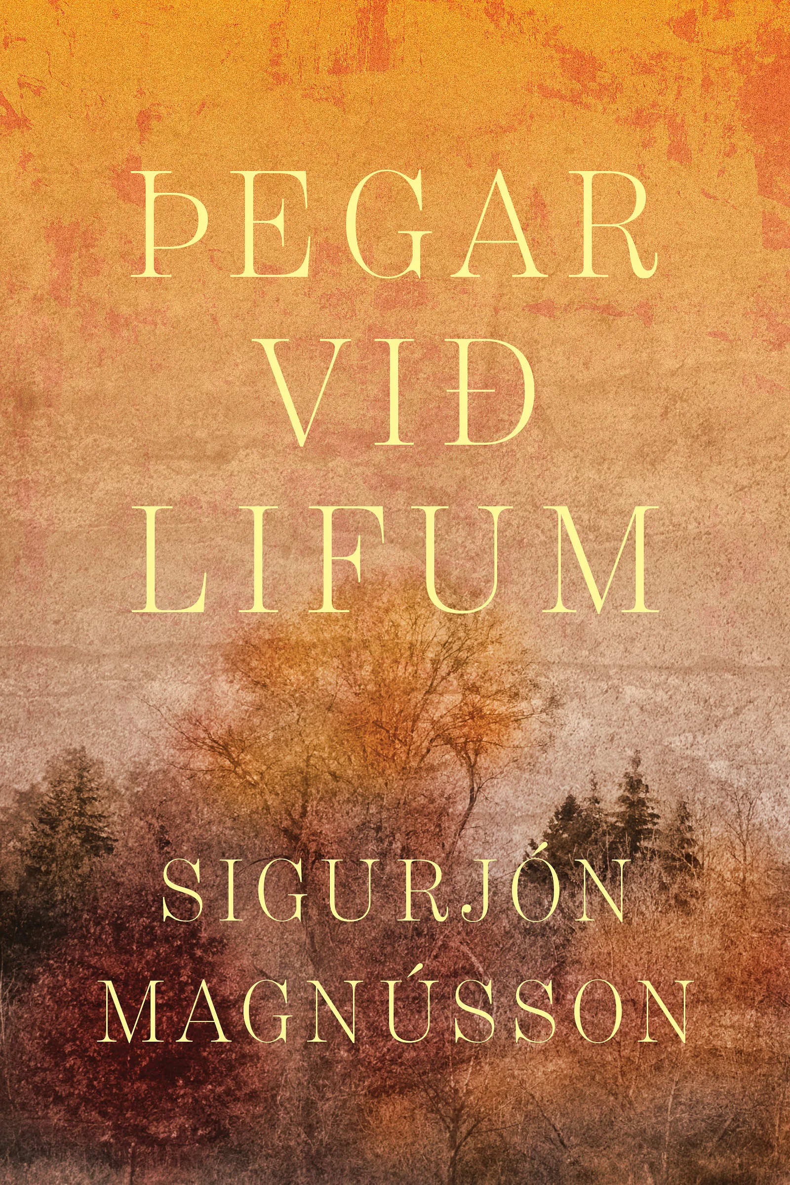 Forsíða kápu bókarinnar