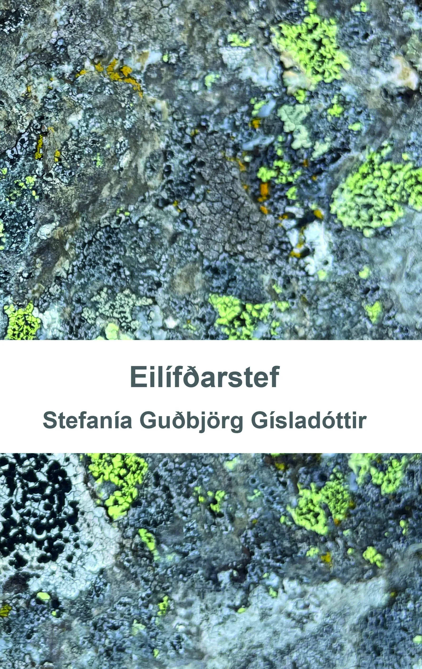 Forsíða kápu bókarinnar