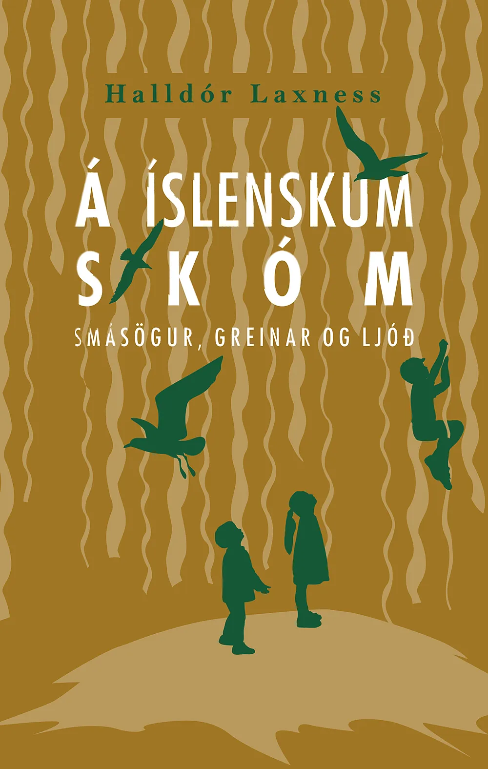 Forsíða kápu bókarinnar