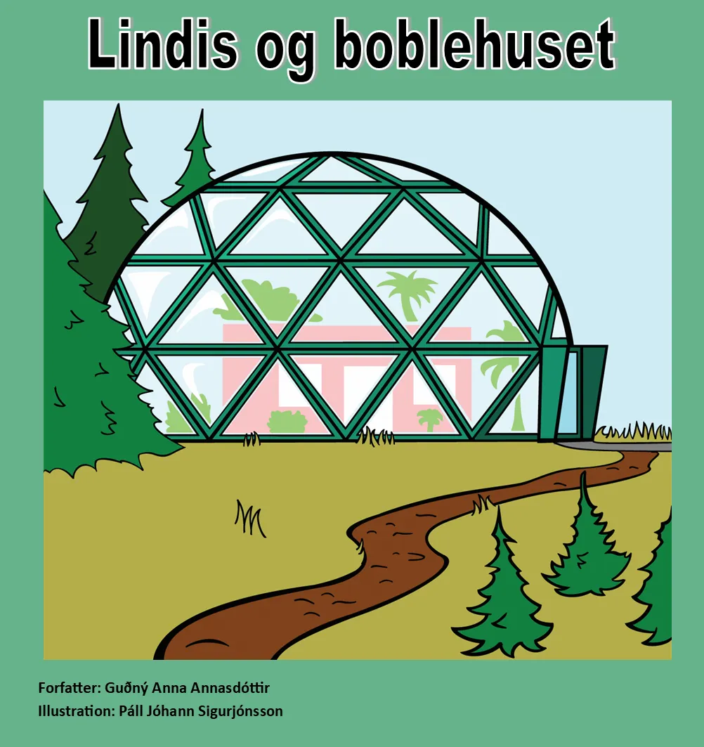 Forsíða kápu bókarinnar